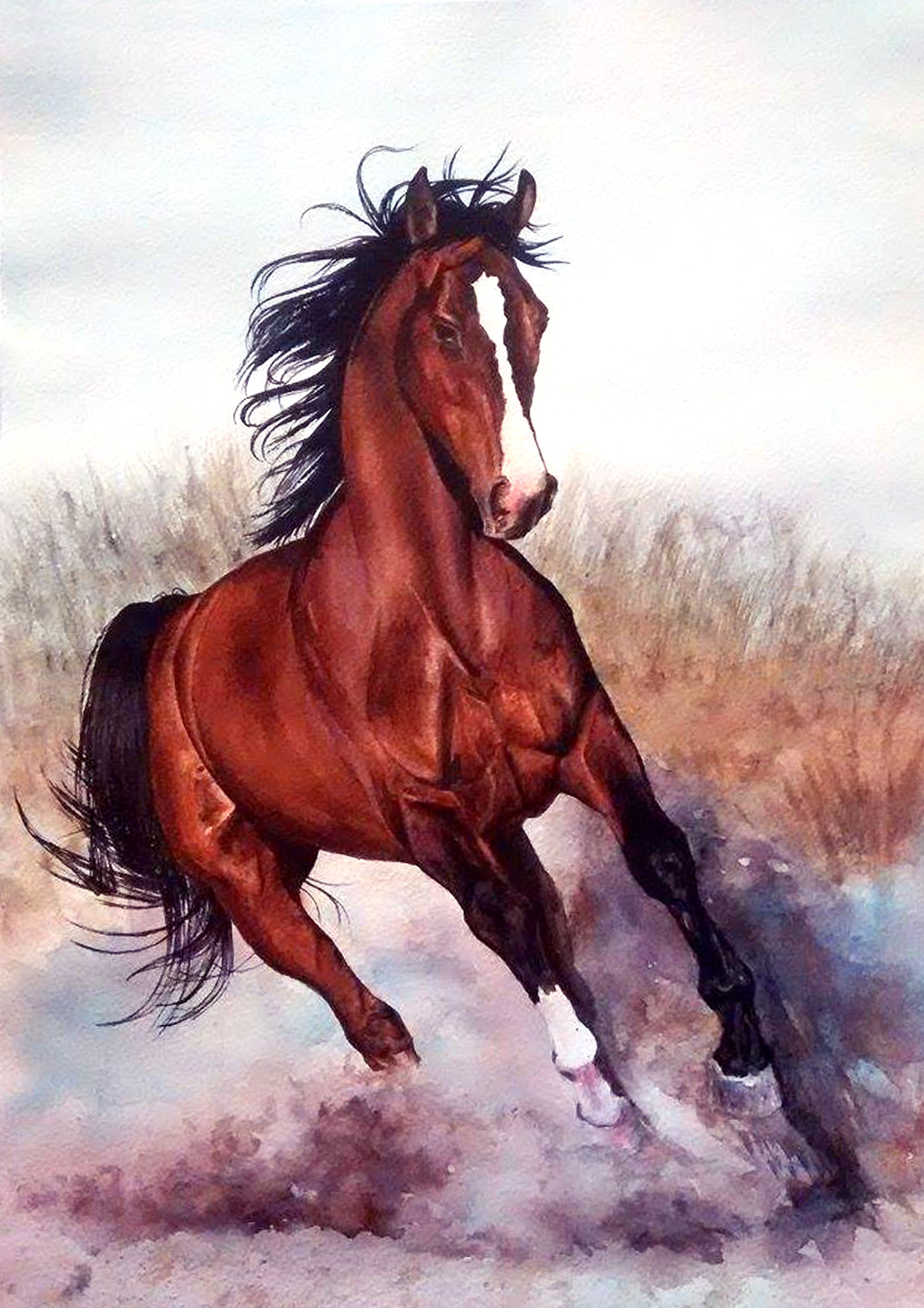 horse painting, horse, watercolor, aquarela. Лошадь обои, Картина лошади, Изображение животного