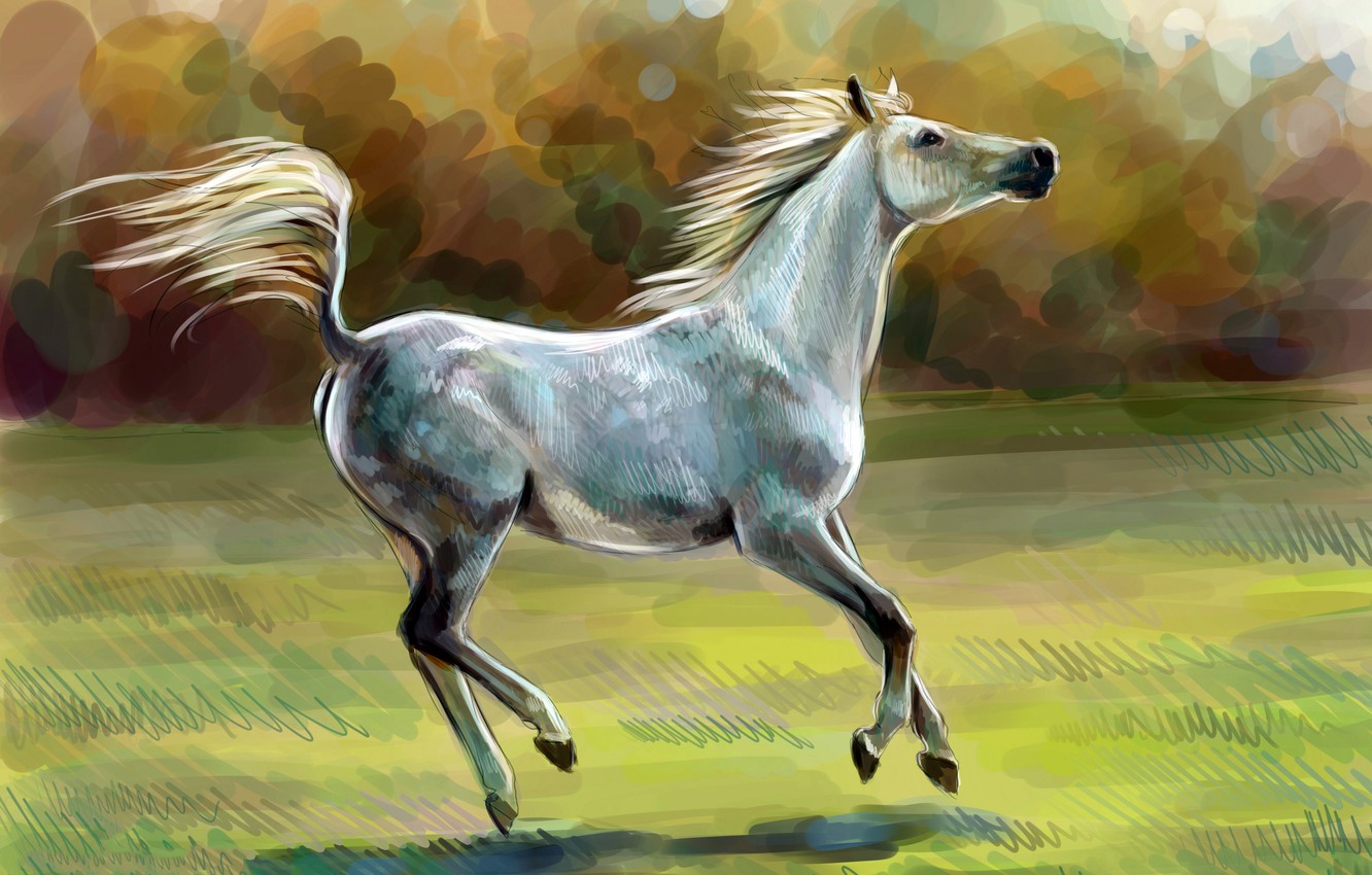 Wallpaper horse, horse, oil, art, watercolor, pencil, painting, horse, gouache, wallpaper., painting painting, nature field sun, grey apples image for desktop, section живопись