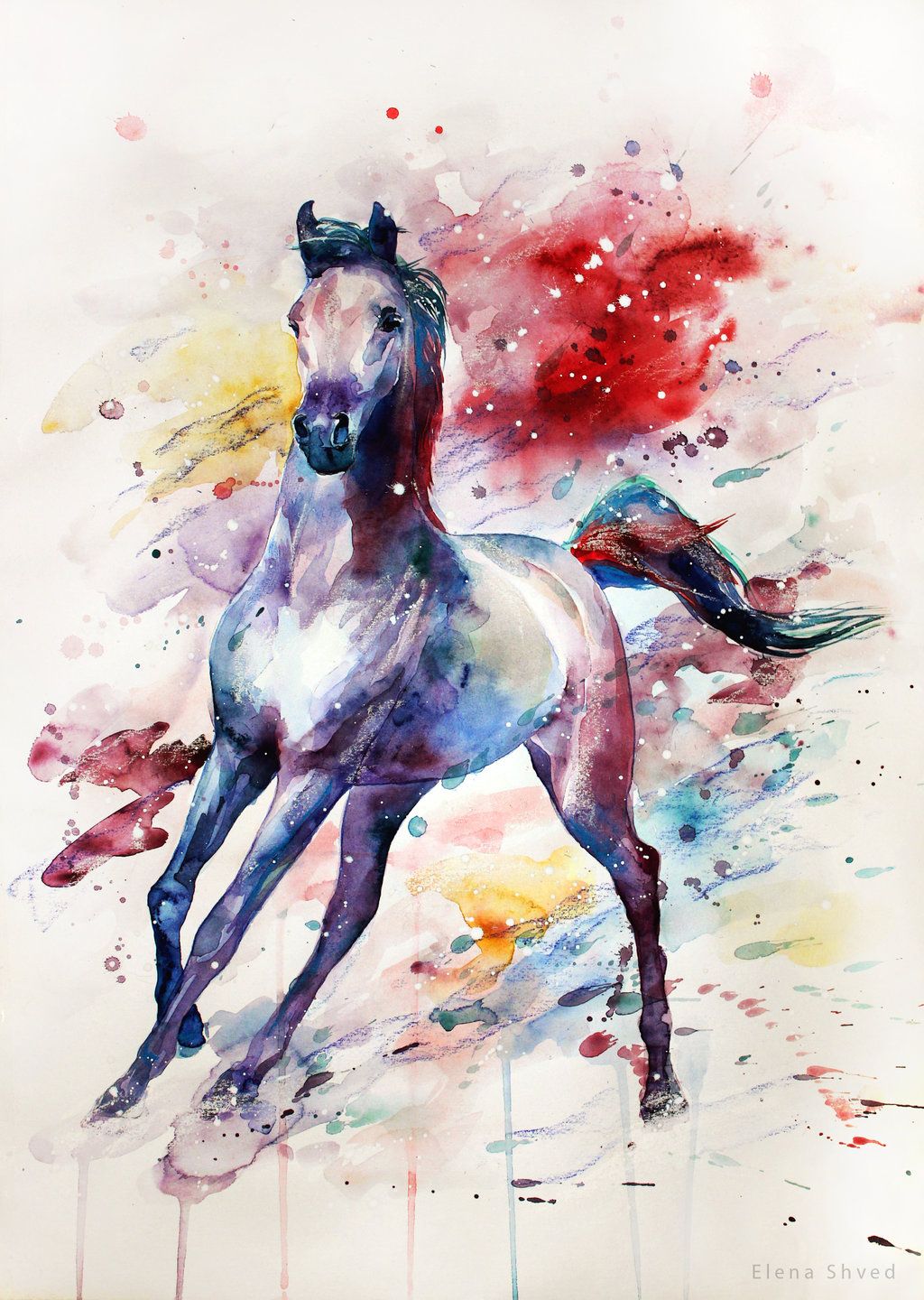 Watercolor horse, Horse painting, Horse drawings