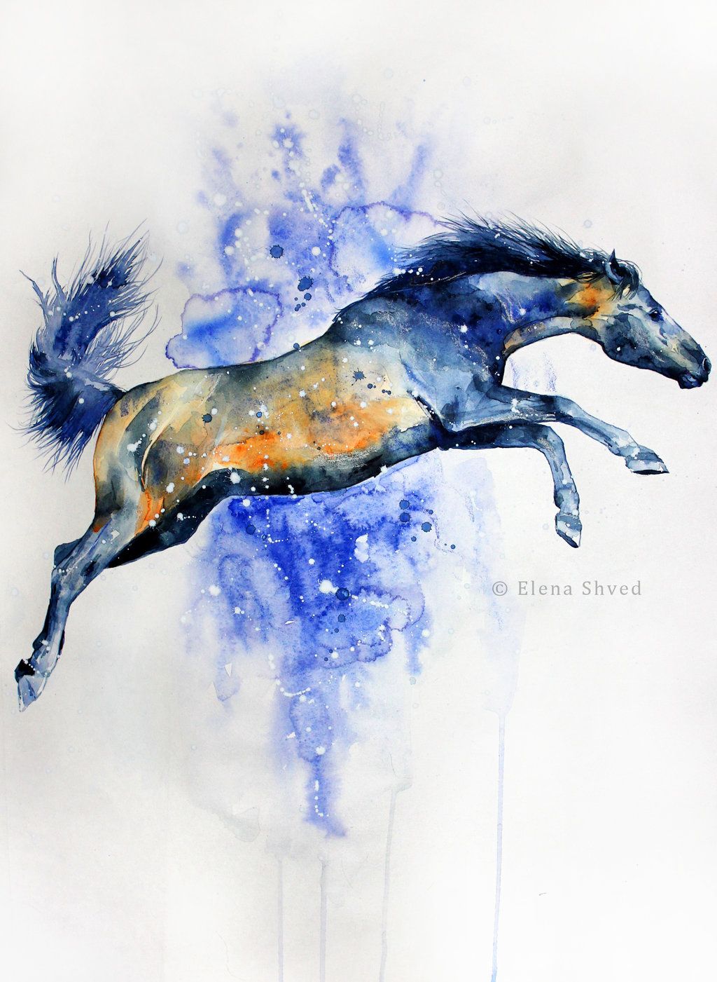 Watercolor horse, Horse drawings, Watercolor horse painting
