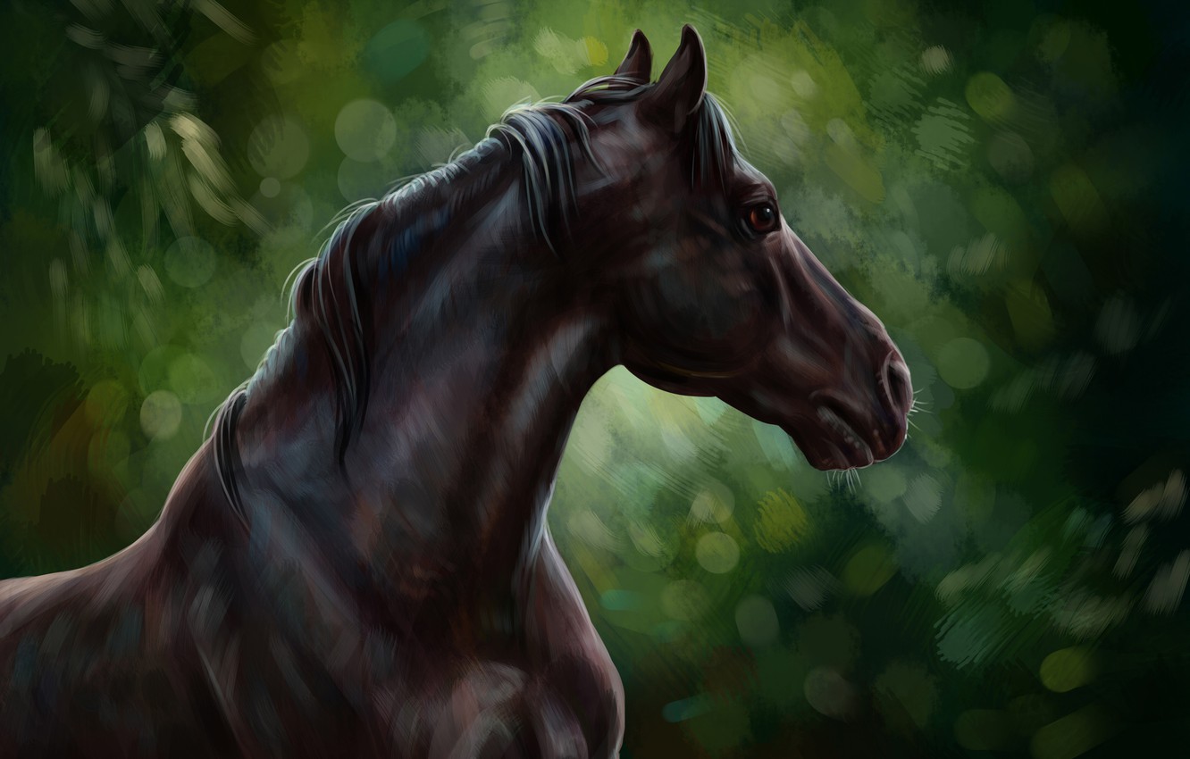Wallpaper horse, oil, art, watercolor, pencil, painting, horse, horse, gouache, wallpaper., painting painting, forest nature, black horse, black stallion image for desktop, section живопись