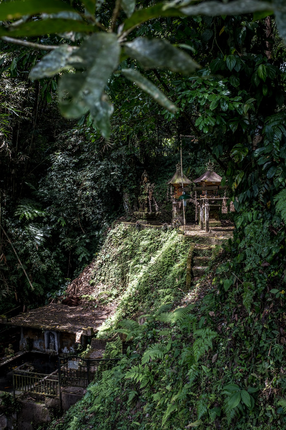 Jungle Temple Picture. Download Free Image