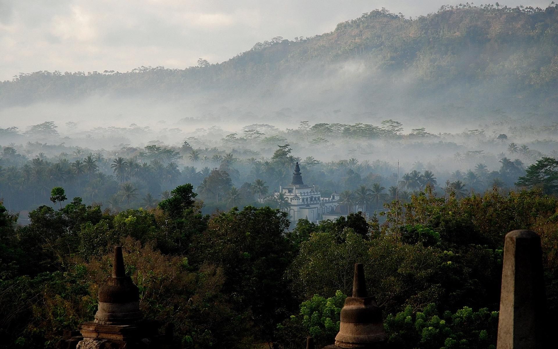 Jungle Temple [1920 x 1200]. Jungle temple, Desktop background image, Wallpaper