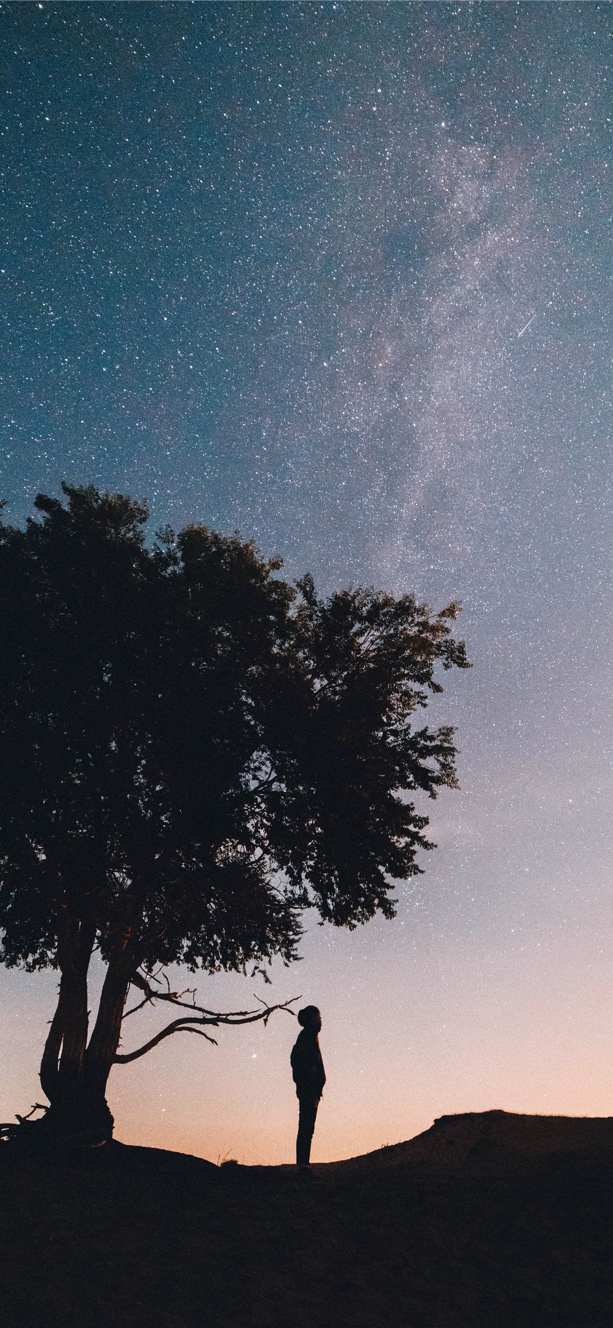 silhouette of man standing under the tree iPhone 11 Wallpaper Free Download