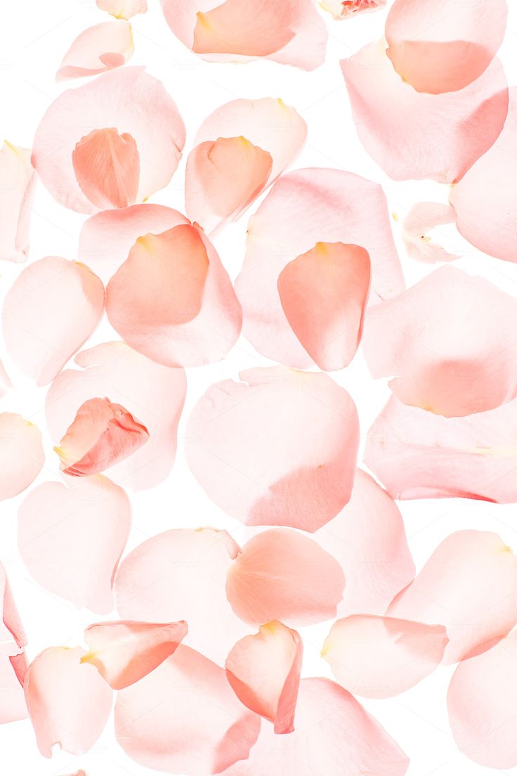 Rose petals valentine background. Valentine background, iPhone background wallpaper, Valentines watercolor