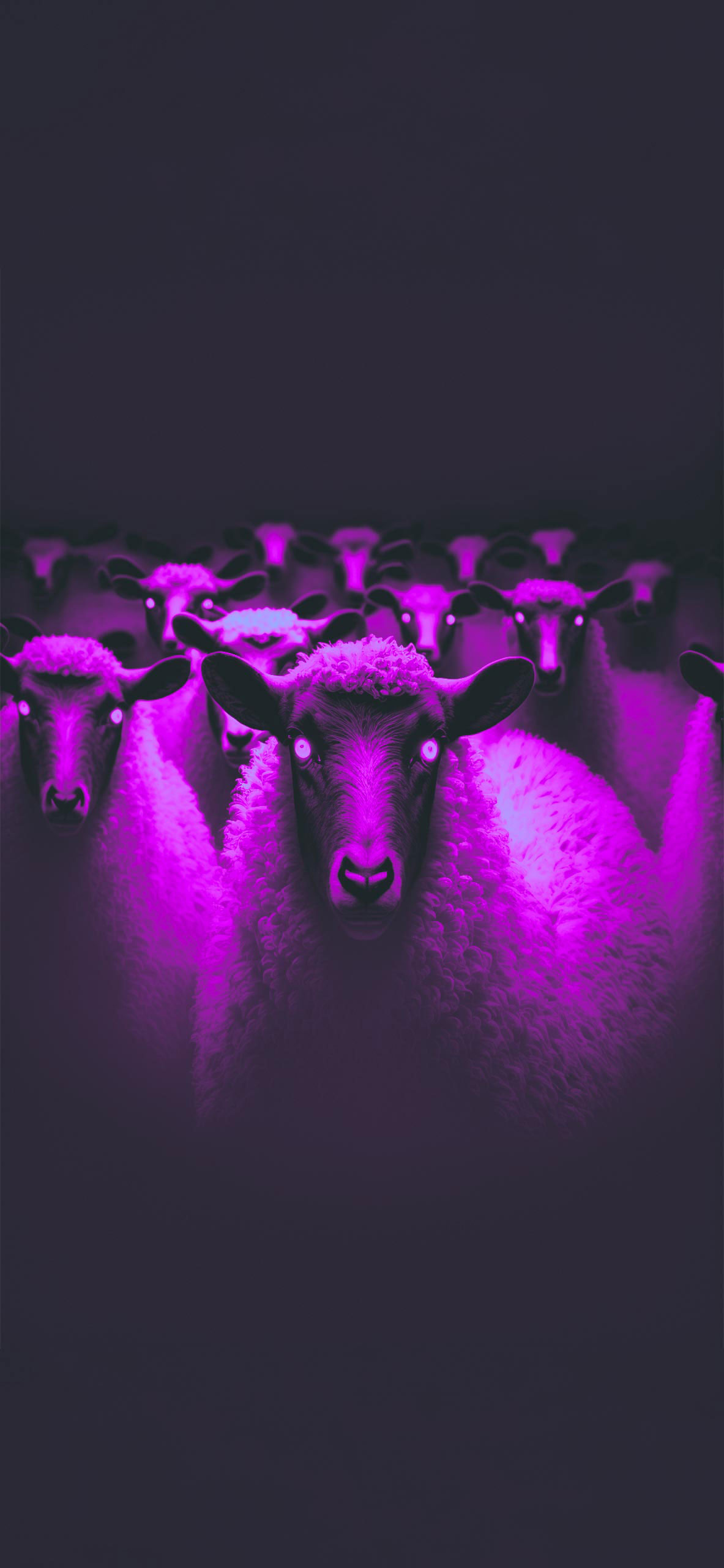 Horror Sheeps Wallpaper Aesthetic Wallpaper iPhone