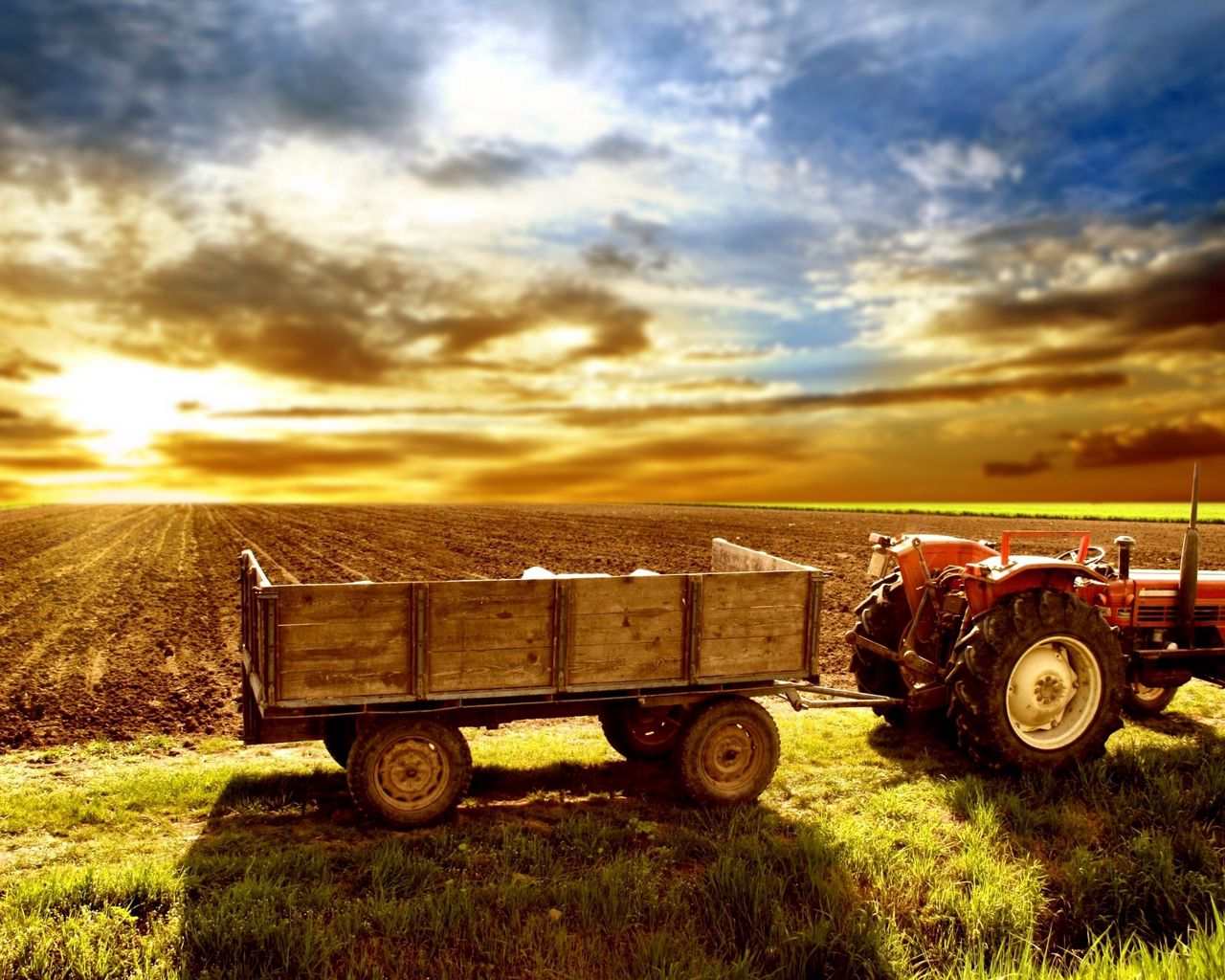 Download wallpaper 1280x1024 tractor, field, arable land, agriculture standard 5:4 HD background