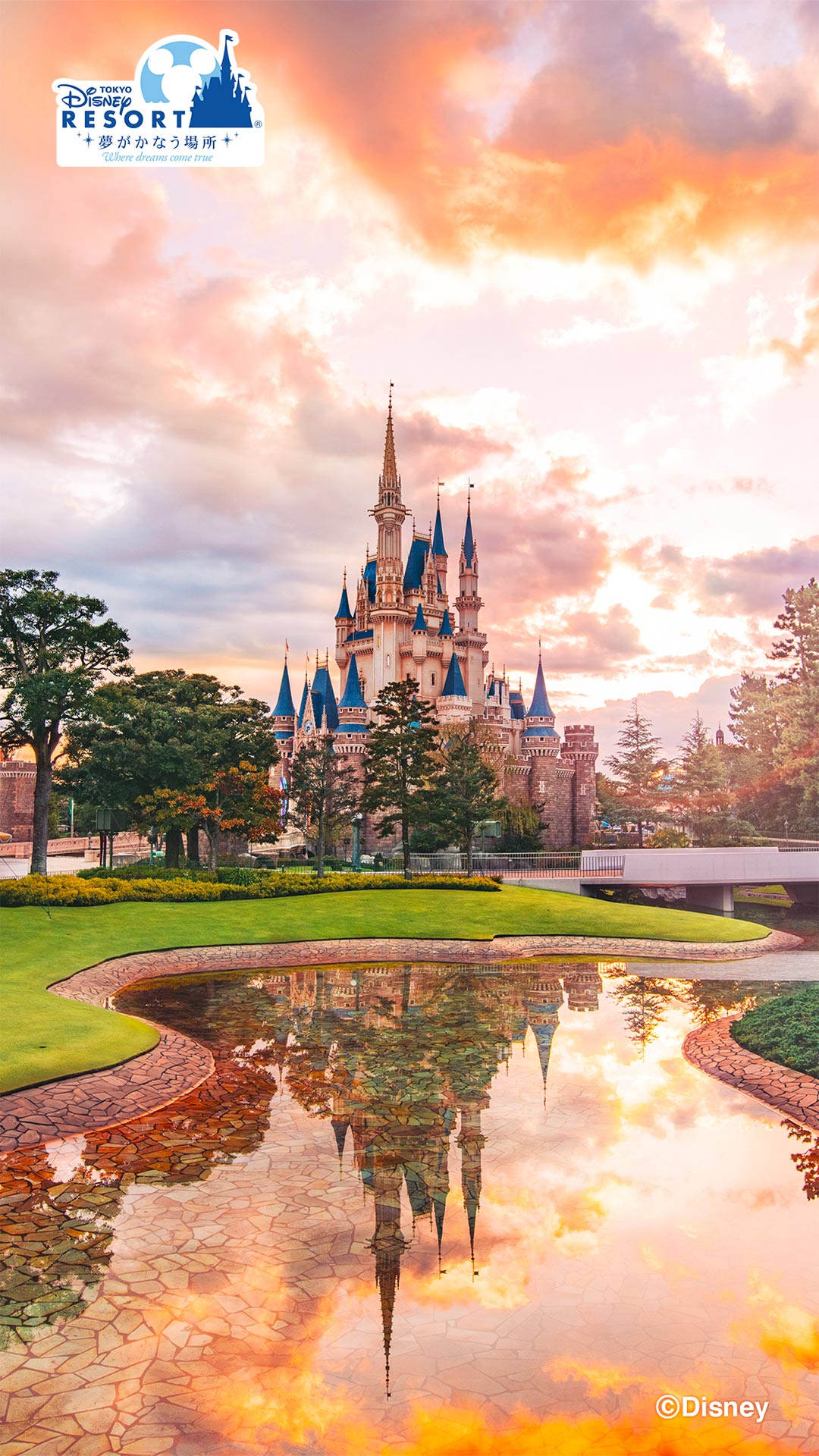 OfficialWallpaper. Tokyo Disney Resort