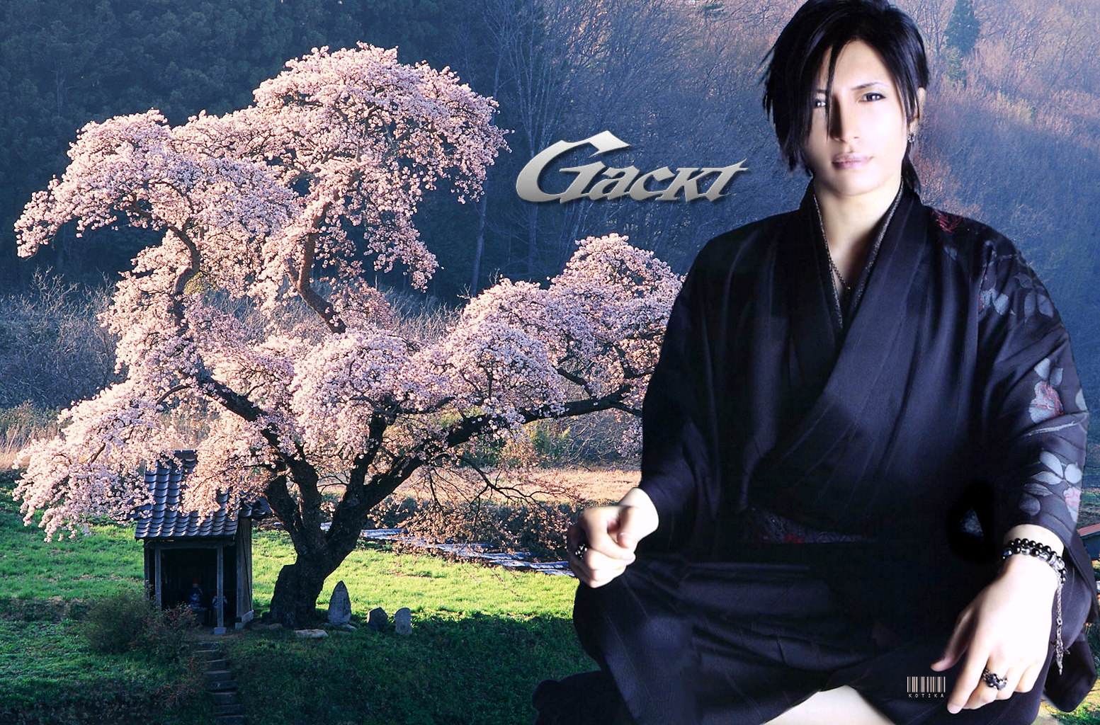Gackt x Nemuri Project Desktop