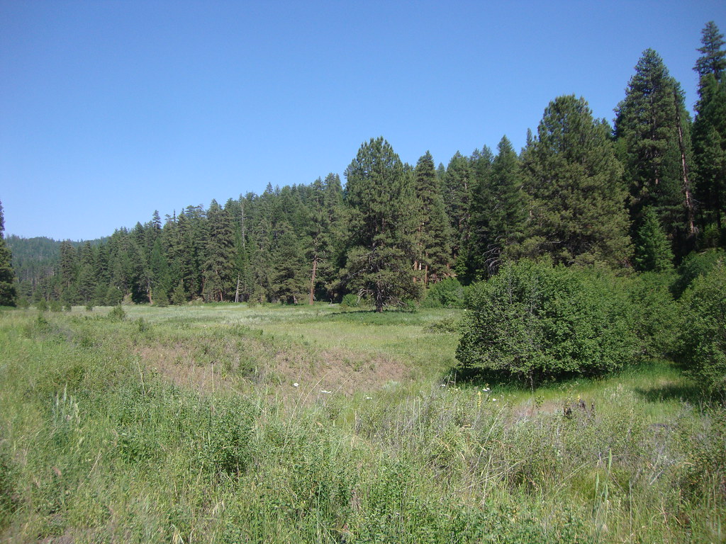Ochoco National Forest (Crook County, Oregon). As seen from