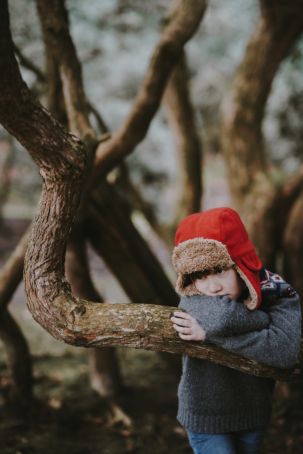 low light photography of boy in red ushanka hat learning on tree branch photo