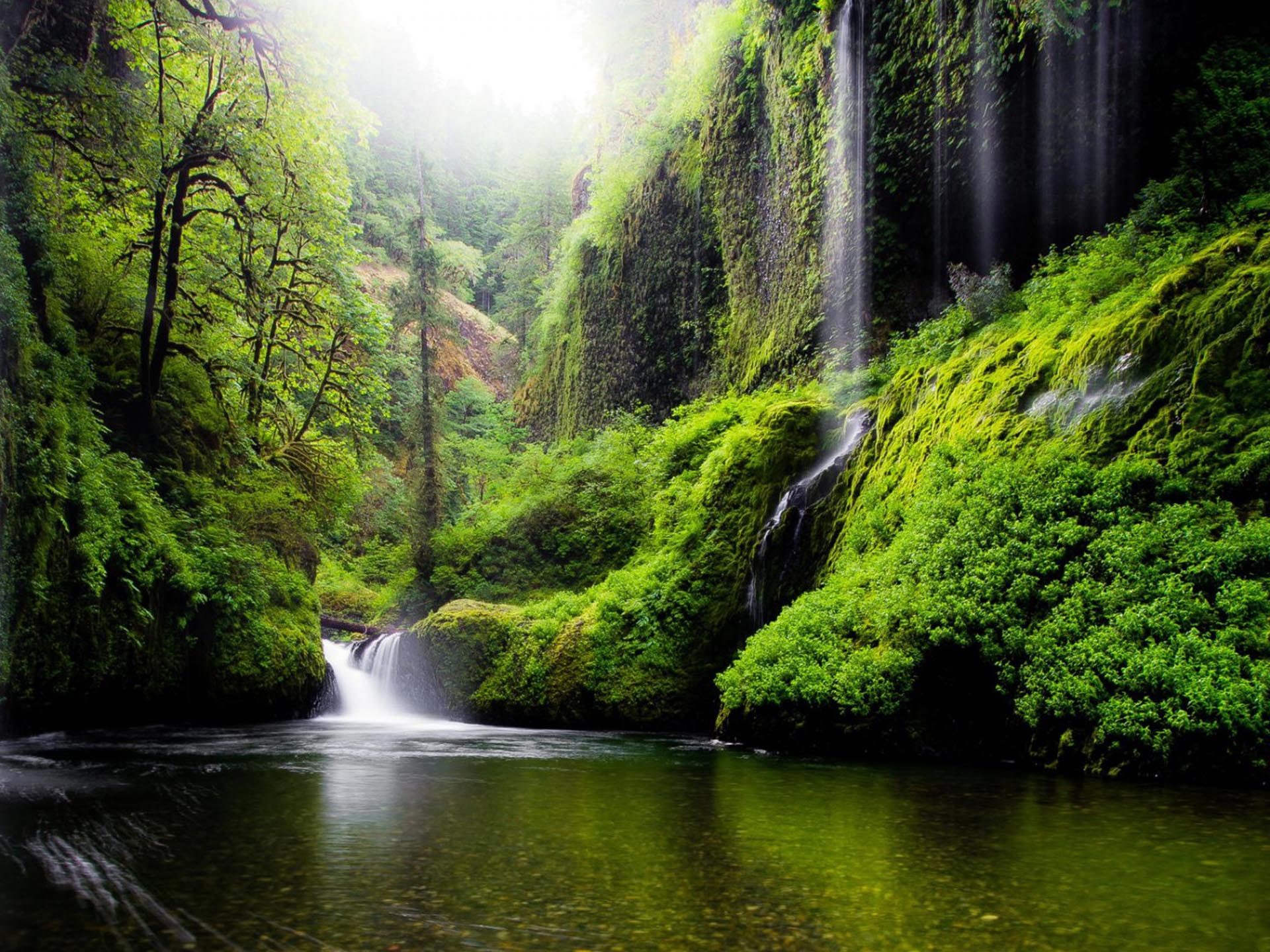 Spring Landscape Waterfall In Oregon Usa Nature River Water Trees Foliage D...