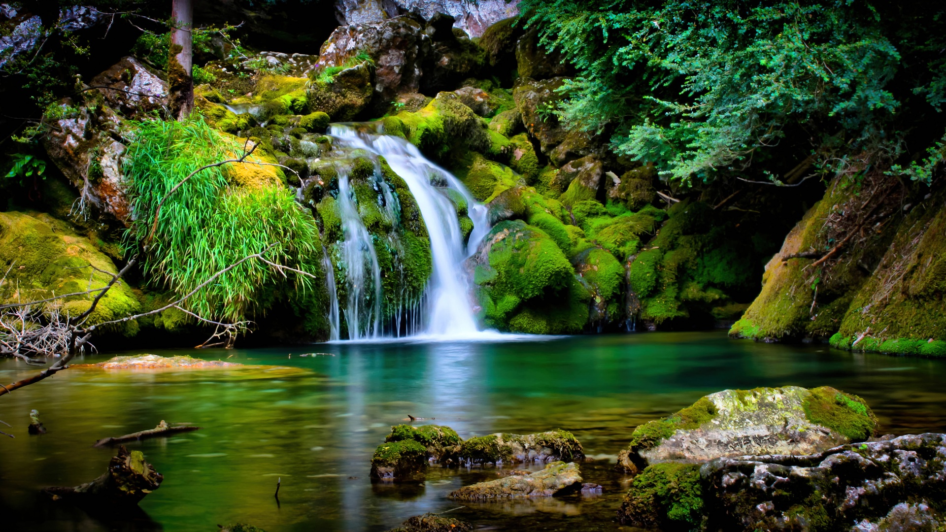Tropical forest Wallpaper 4K, Waterfall, Green, Nature