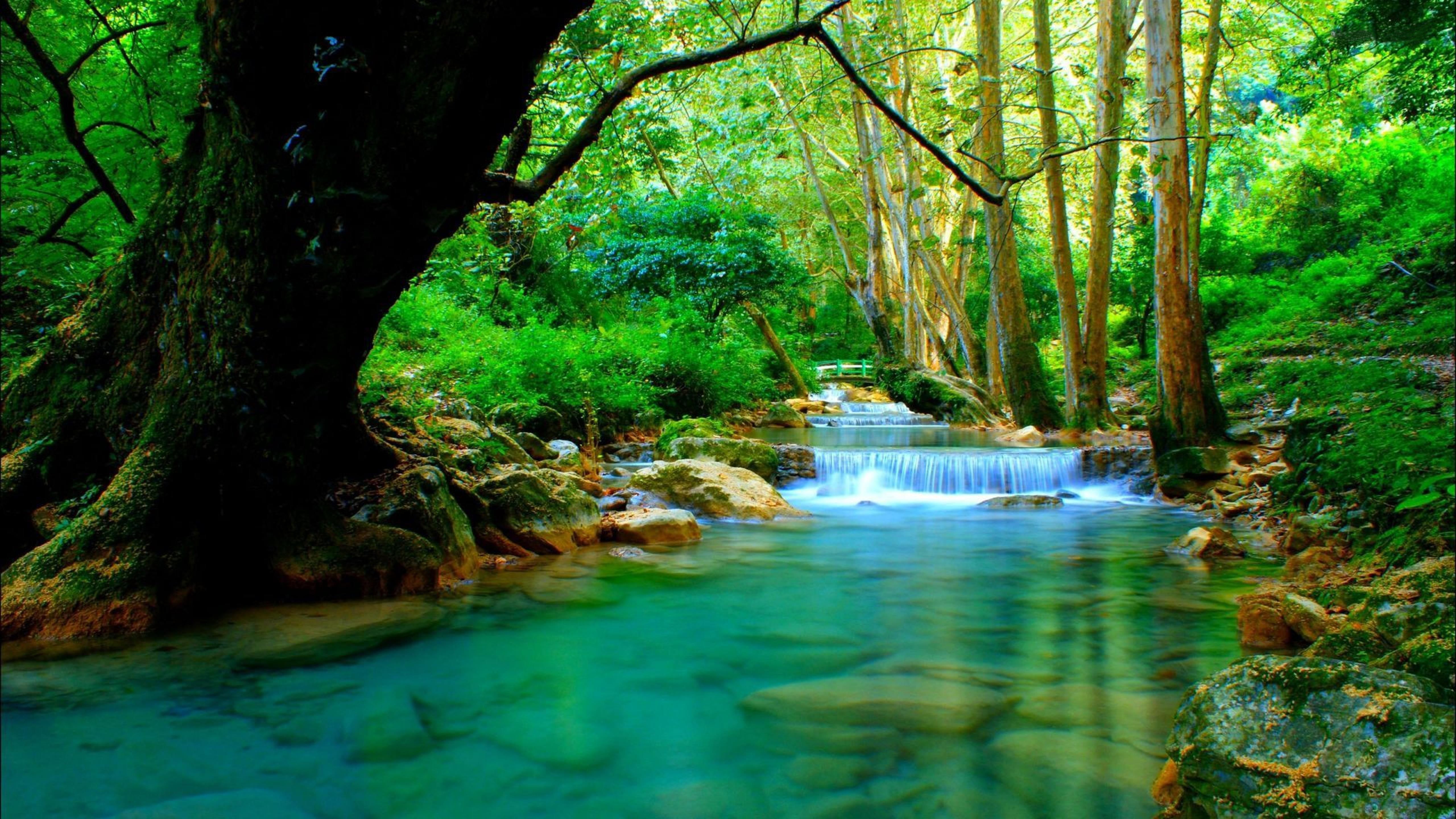 Forest River With Cascades Turquoise Water Rocks Trees Desktop Wallpaper HD For Mobile Phones And Laptops 5120×28. Beautiful Forest, Tree Desktop Wallpaper, River