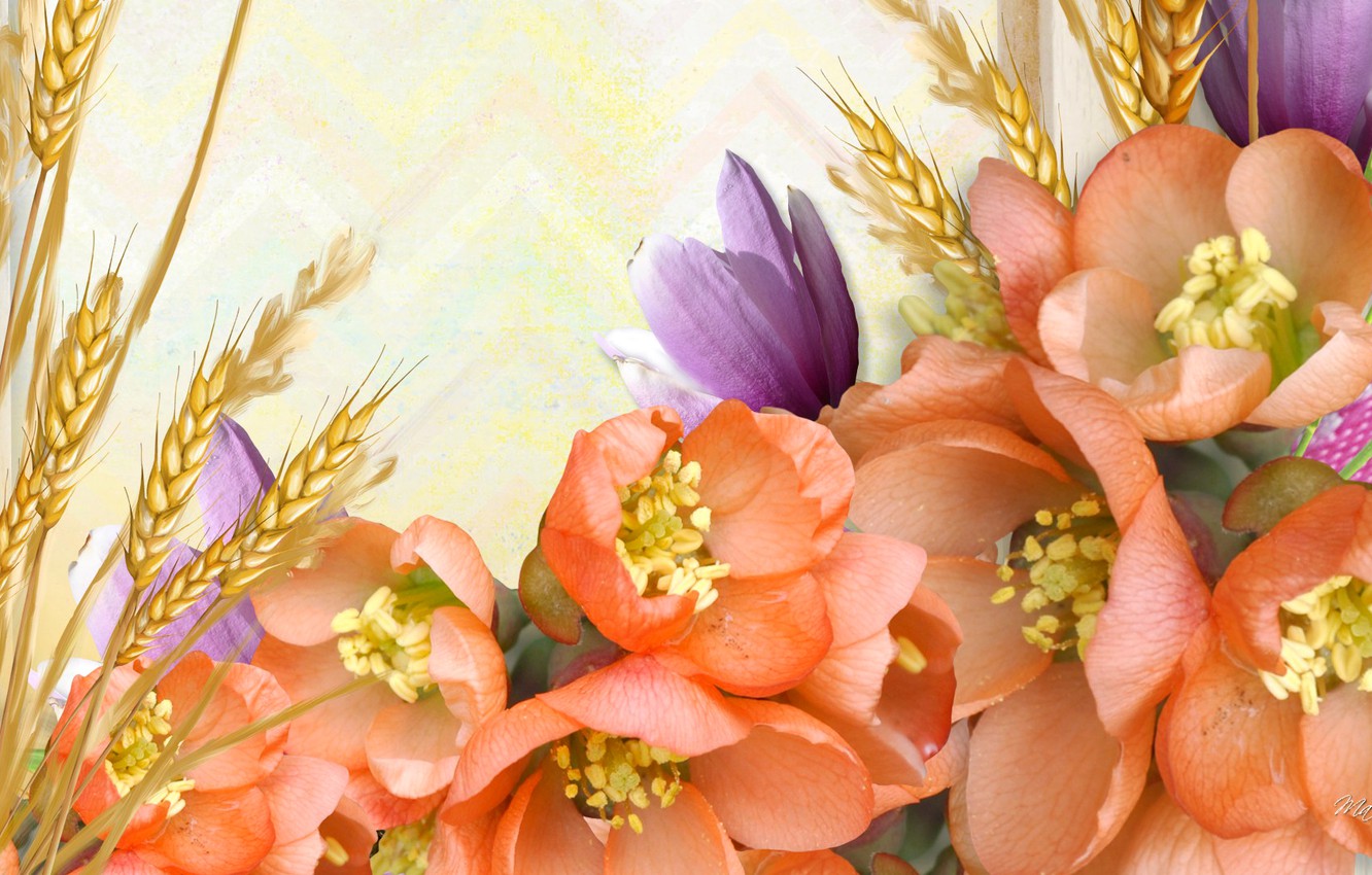 Wallpaper autumn, flowers, collage, vector, petals, ears image for desktop, section разное