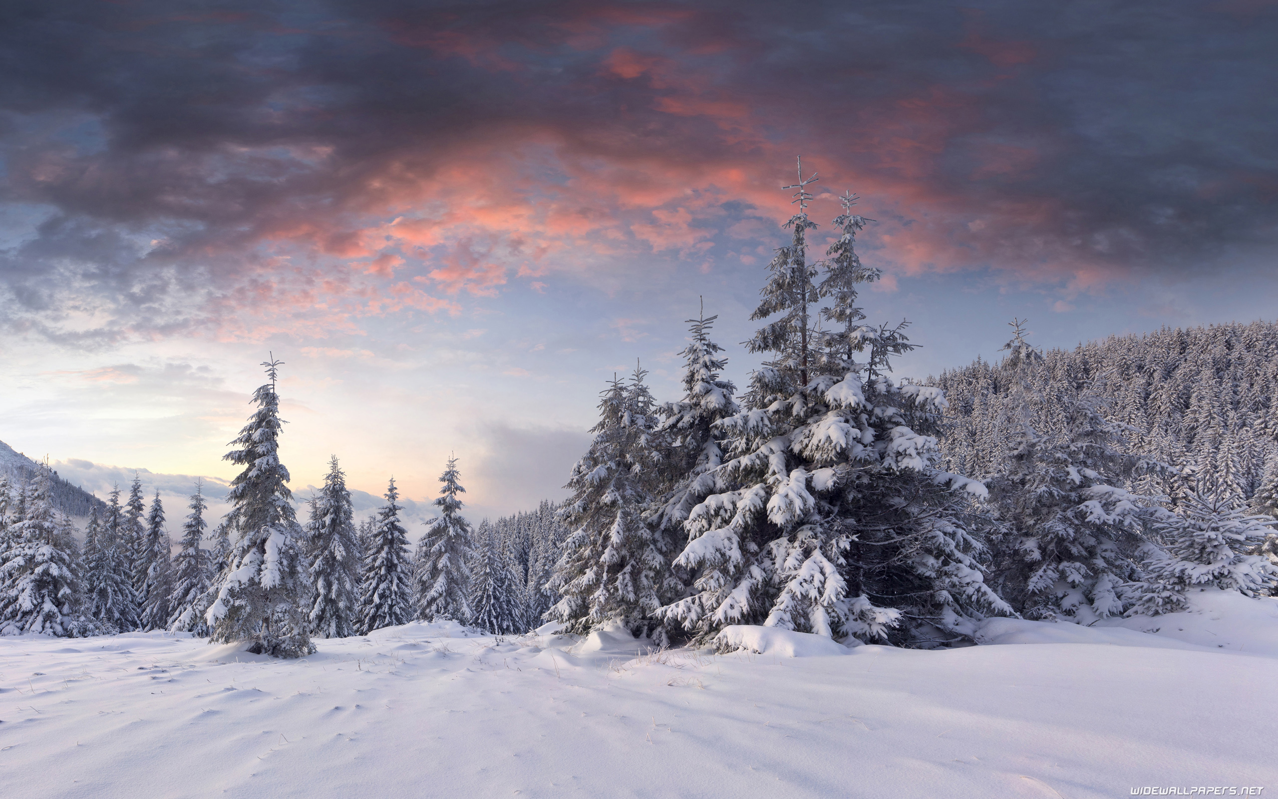 Winter desktop wallpaper 4K Ultra HD