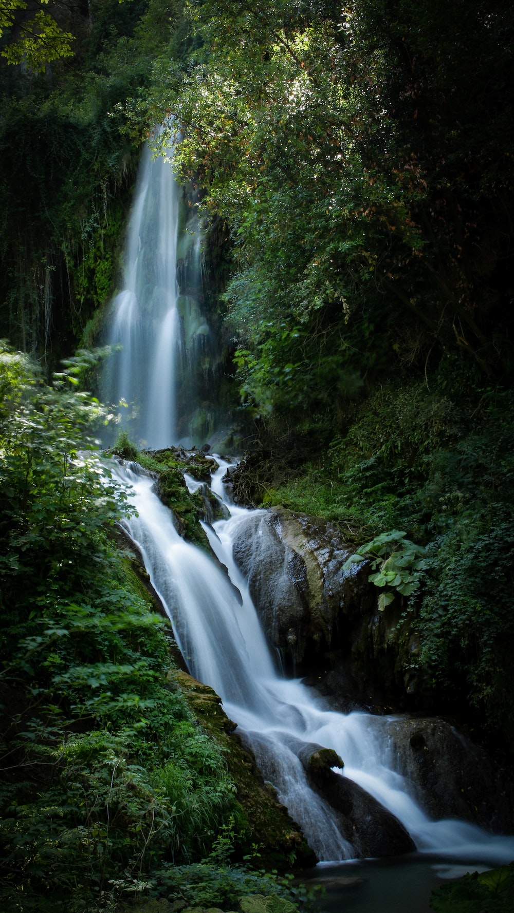 1K+ Waterfall In The Forest Picture. Download Free Image