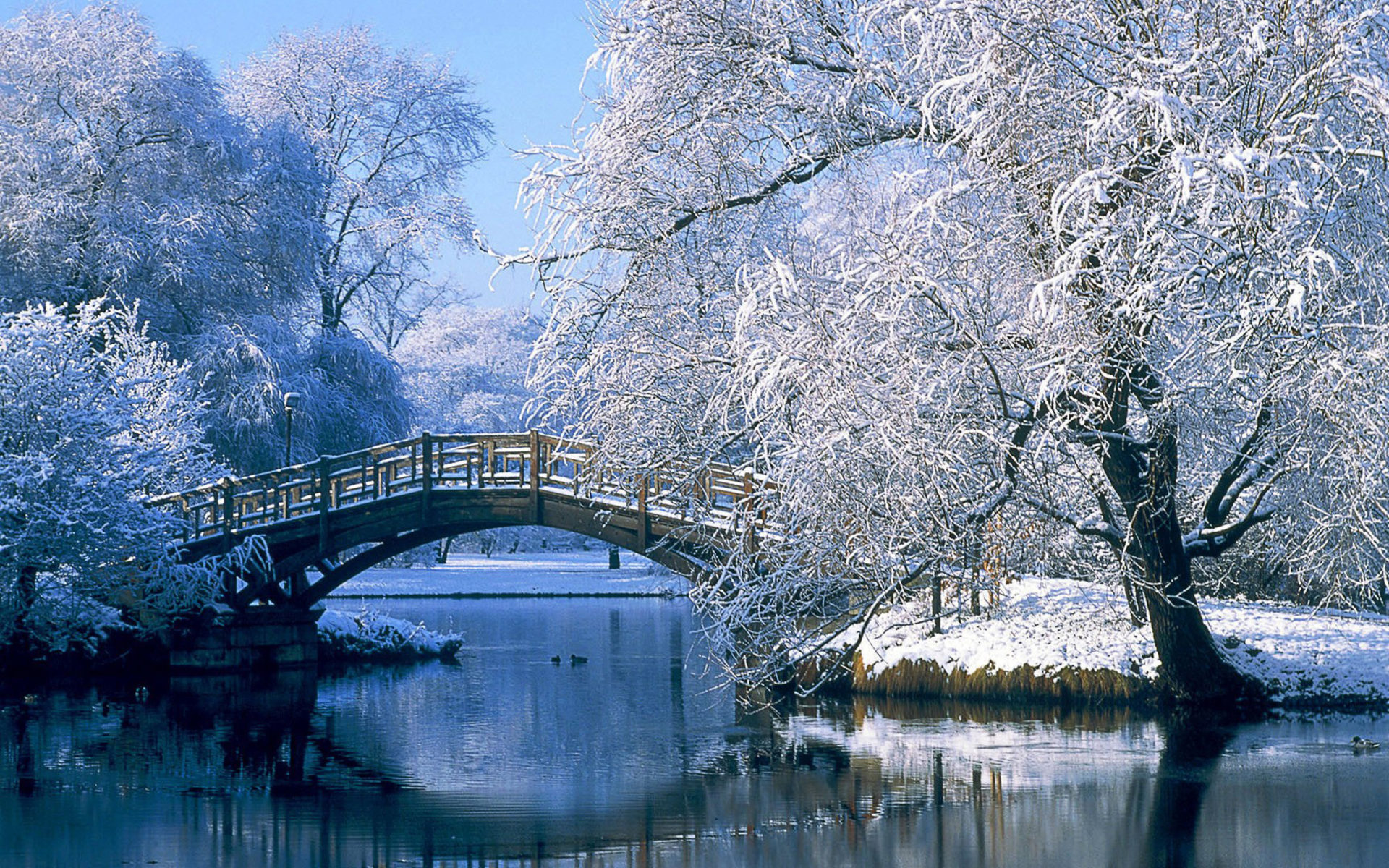 Landscapes Nature Winter Snow Bridges Desktop HD Wallpaper 7869, Wallpaper13.com