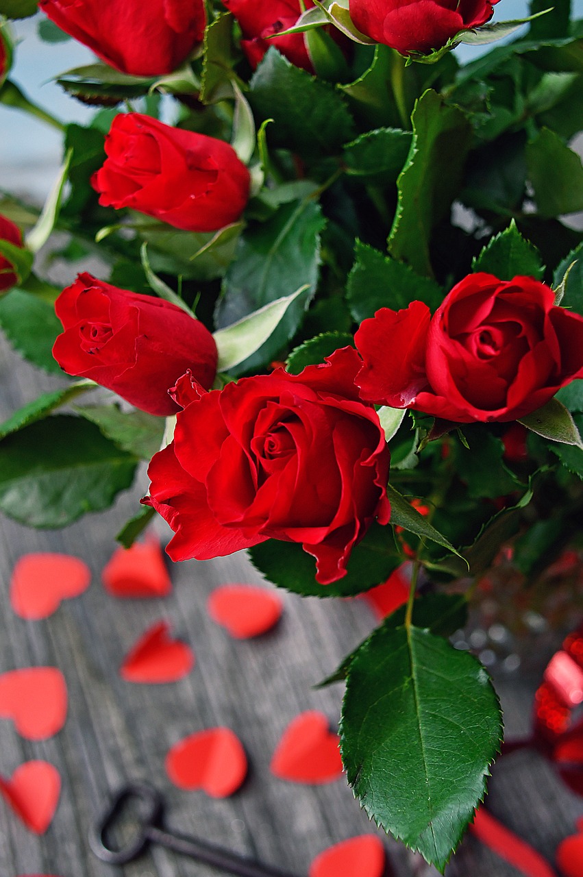 Top 999+ Romantic Rose Wallpaper Full HD, 4K✓Free to Use