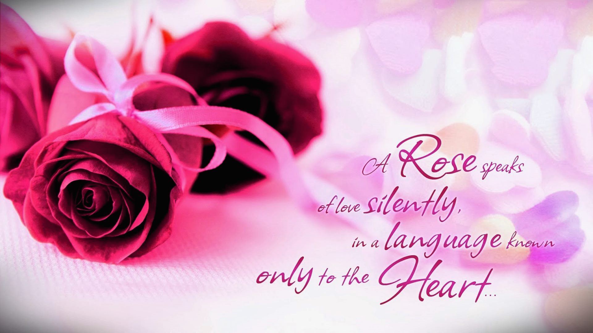 Romantic Quotes Pink Rose Love Valentine Day Picture HD Wallpaper