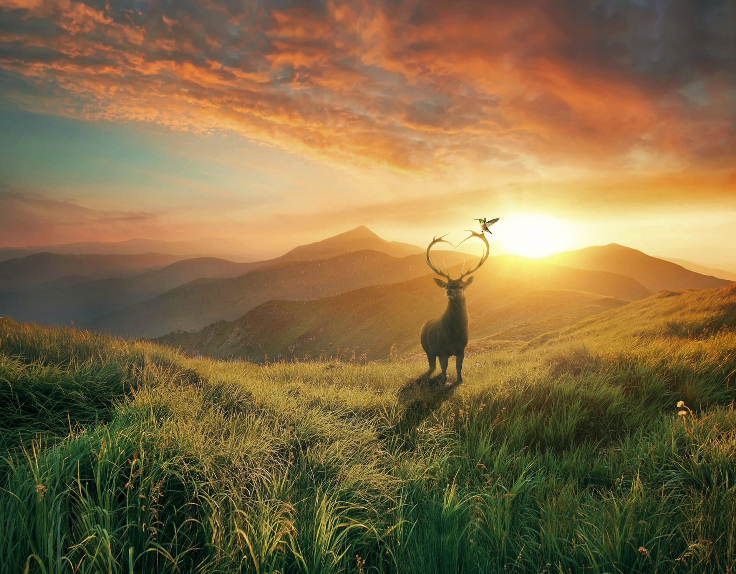 Download wallpaper 2560x1080 deer, sunset, outdoor, silhouette, dual wide  2560x1080 hd background, 18723