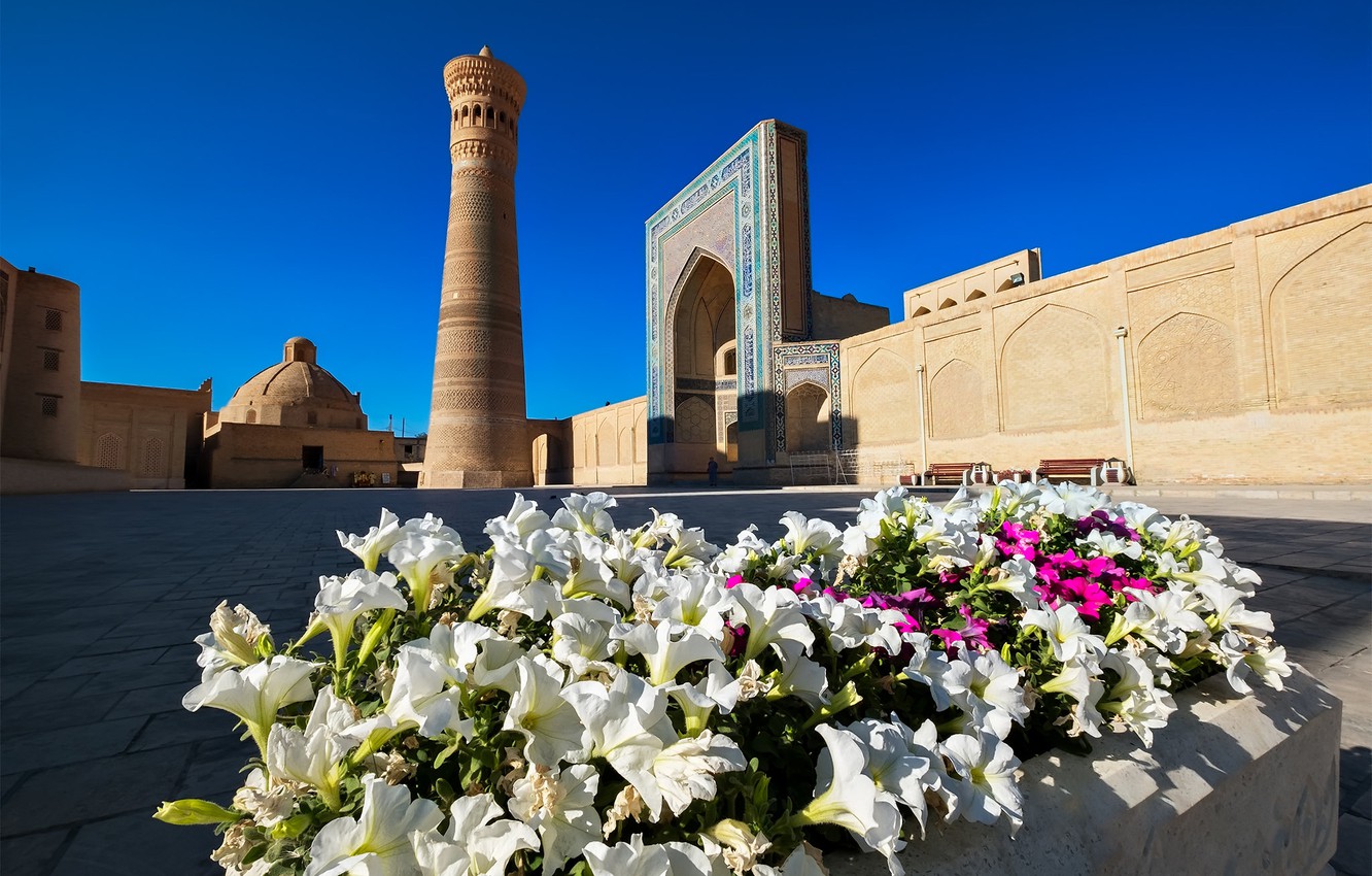 Wallpaper flowers, gate, the minaret, Uzbekistan, Bukhara image for desktop, section город