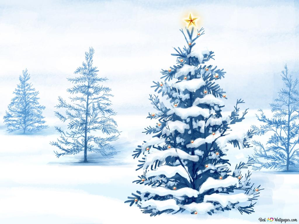 Christmas tree in winters HD wallpaper download