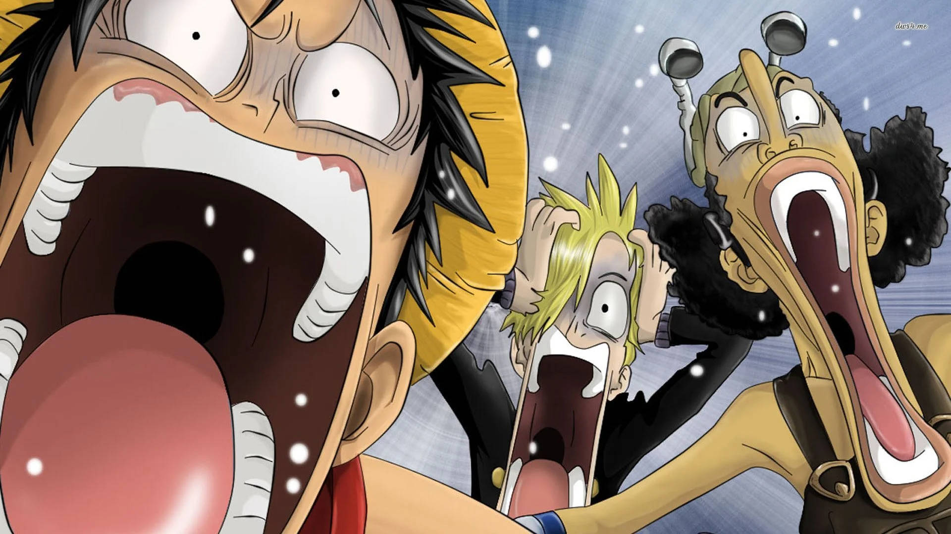 Download Funny Anime Faces Of Luffy & Friends Wallpaper