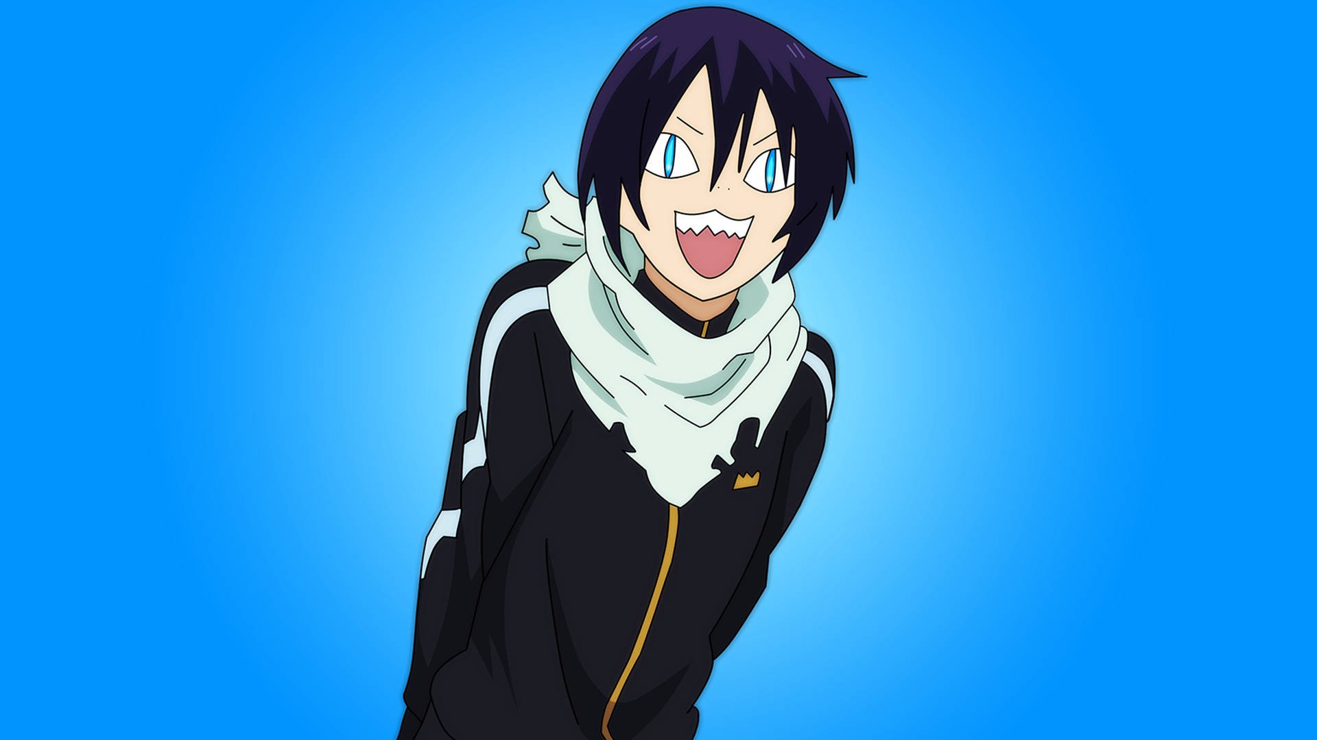 Download Funny Anime Yato's Cat Face Wallpaper