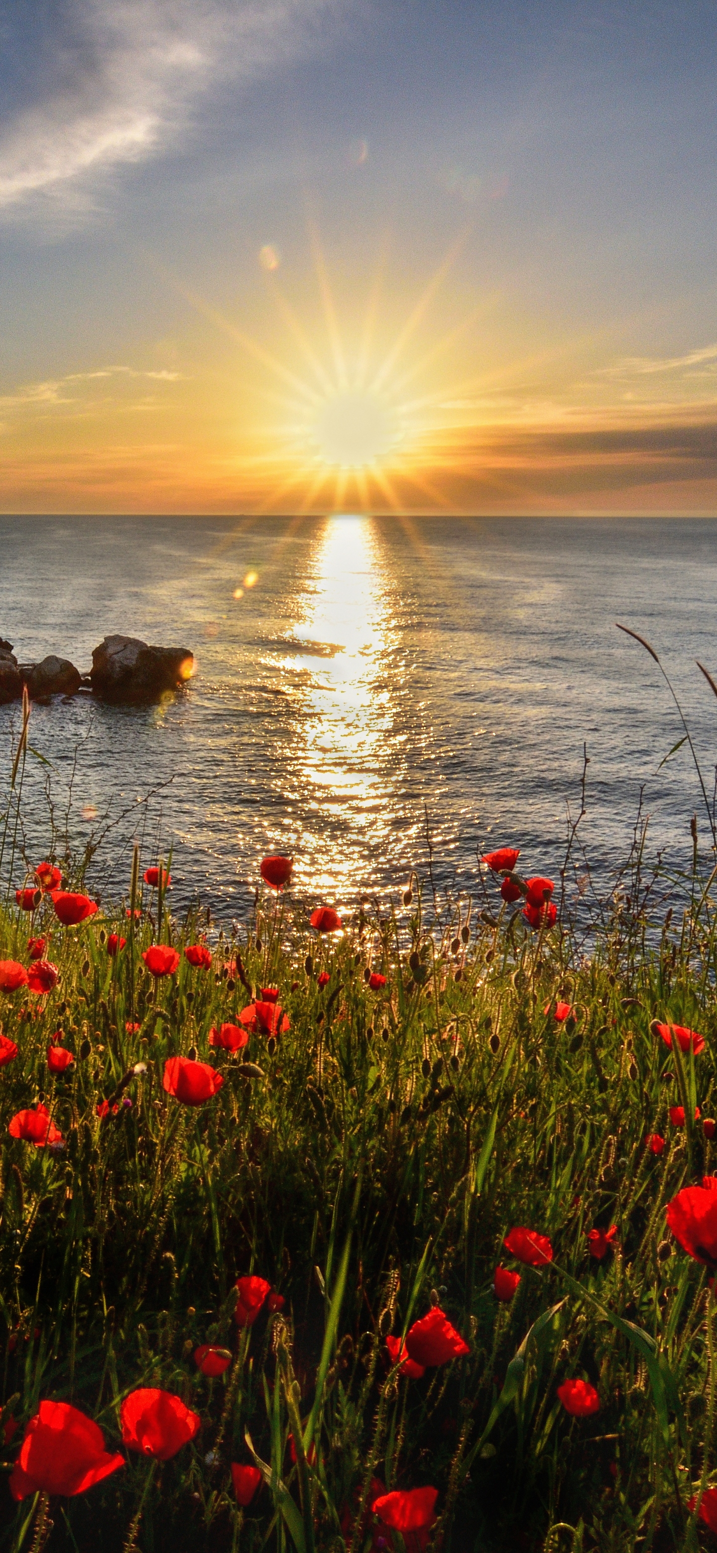 Sunrise Phone Wallpaper