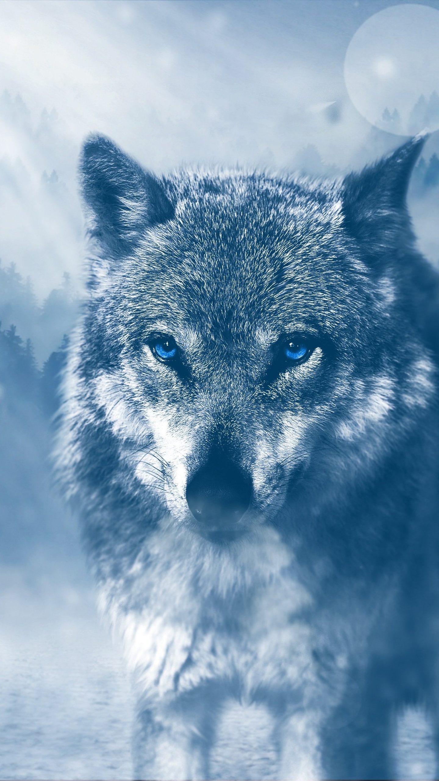 Wolf Wallpaper 4K, Predator, Wild animal, Animals
