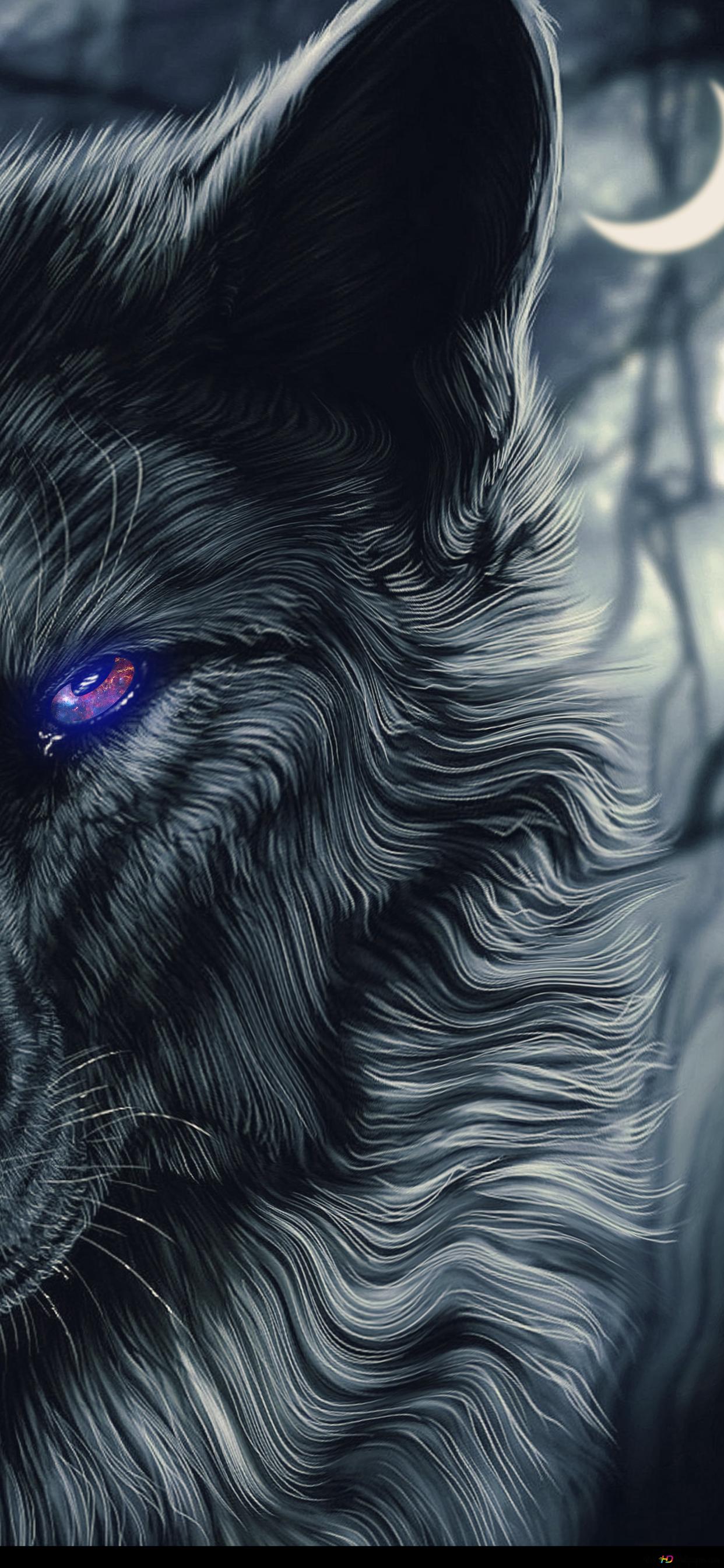 Night Half Moon View Of A Purple Eyed Wolf In Black And White Image 2K Wallpaper Download