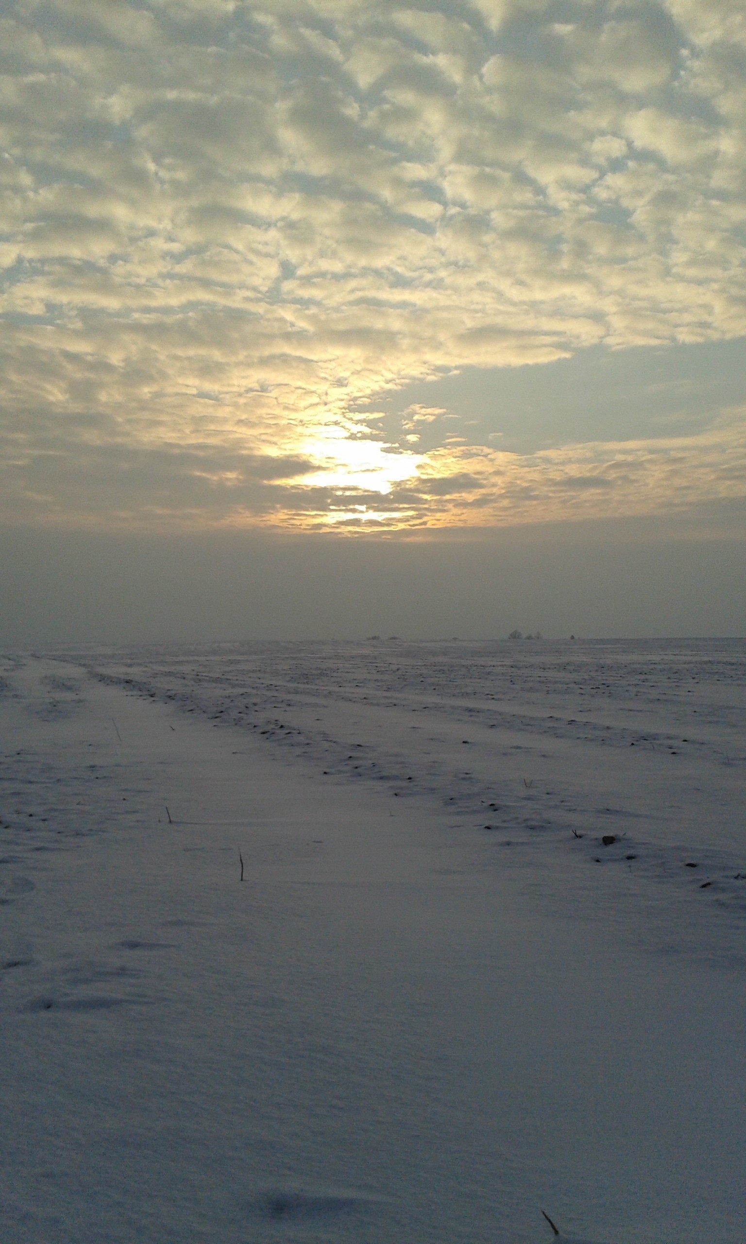 sunrise, Snow, Nature, Winter, Cold, Lithuania, Morning Wallpaper HD / Desktop and Mobile Background