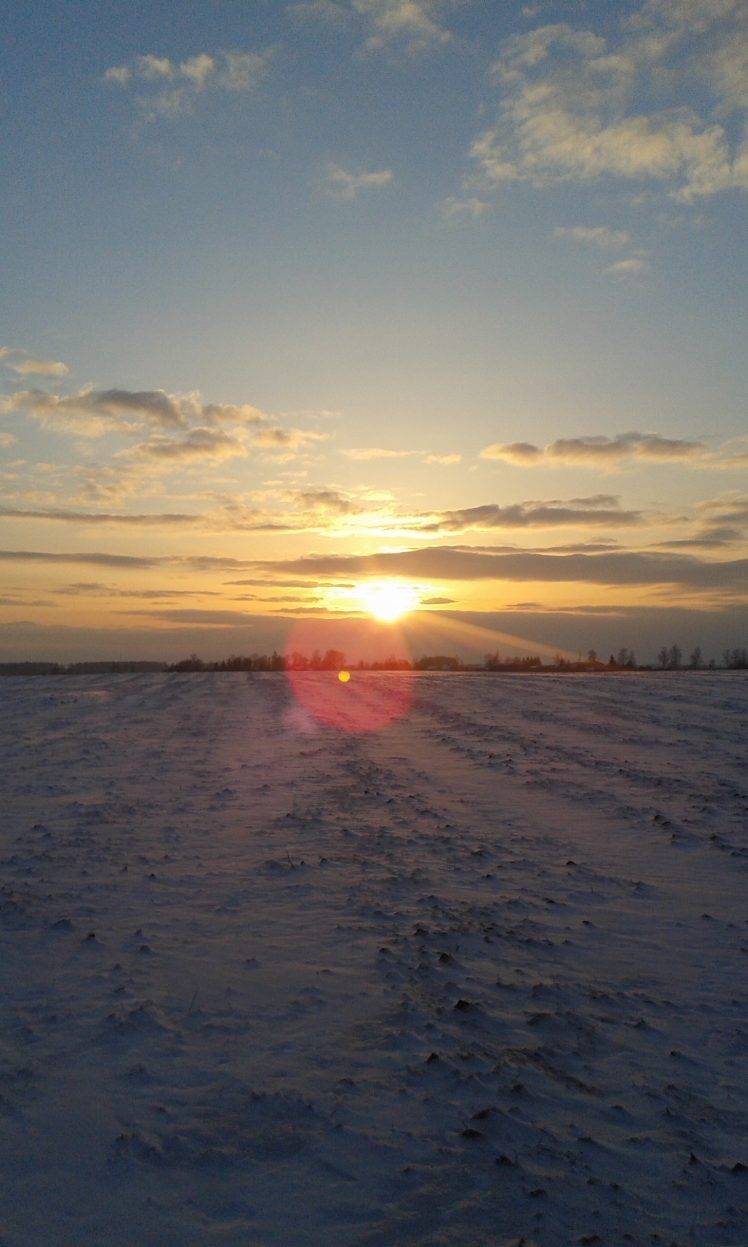 sunrise, Snow, Nature, Winter, Cold, Lithuania, Morning Wallpaper HD / Desktop and Mobile Background