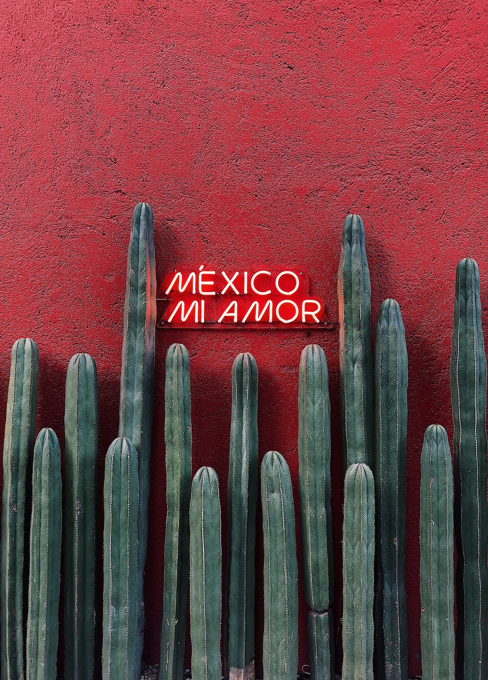 Mexico Mi Amor Picture. Download Free Image