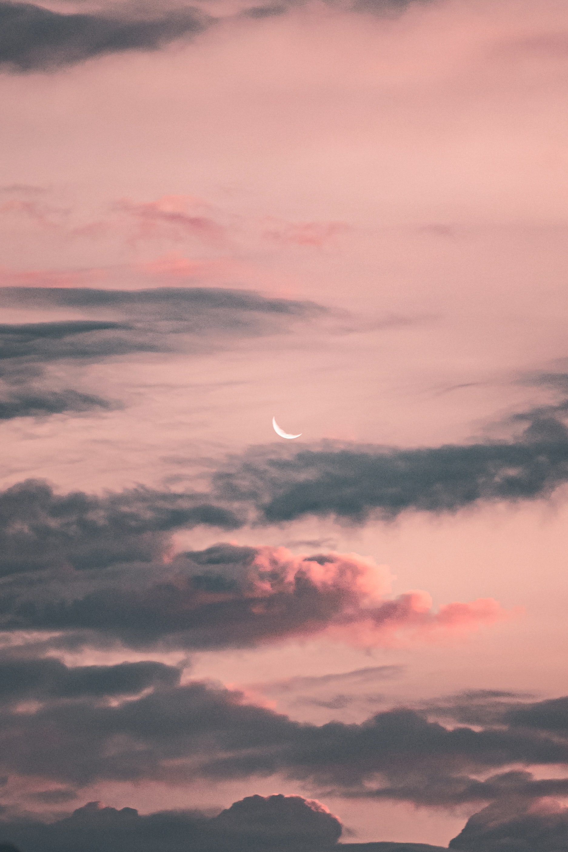 Crescent Moon on a Pink Sky · Free