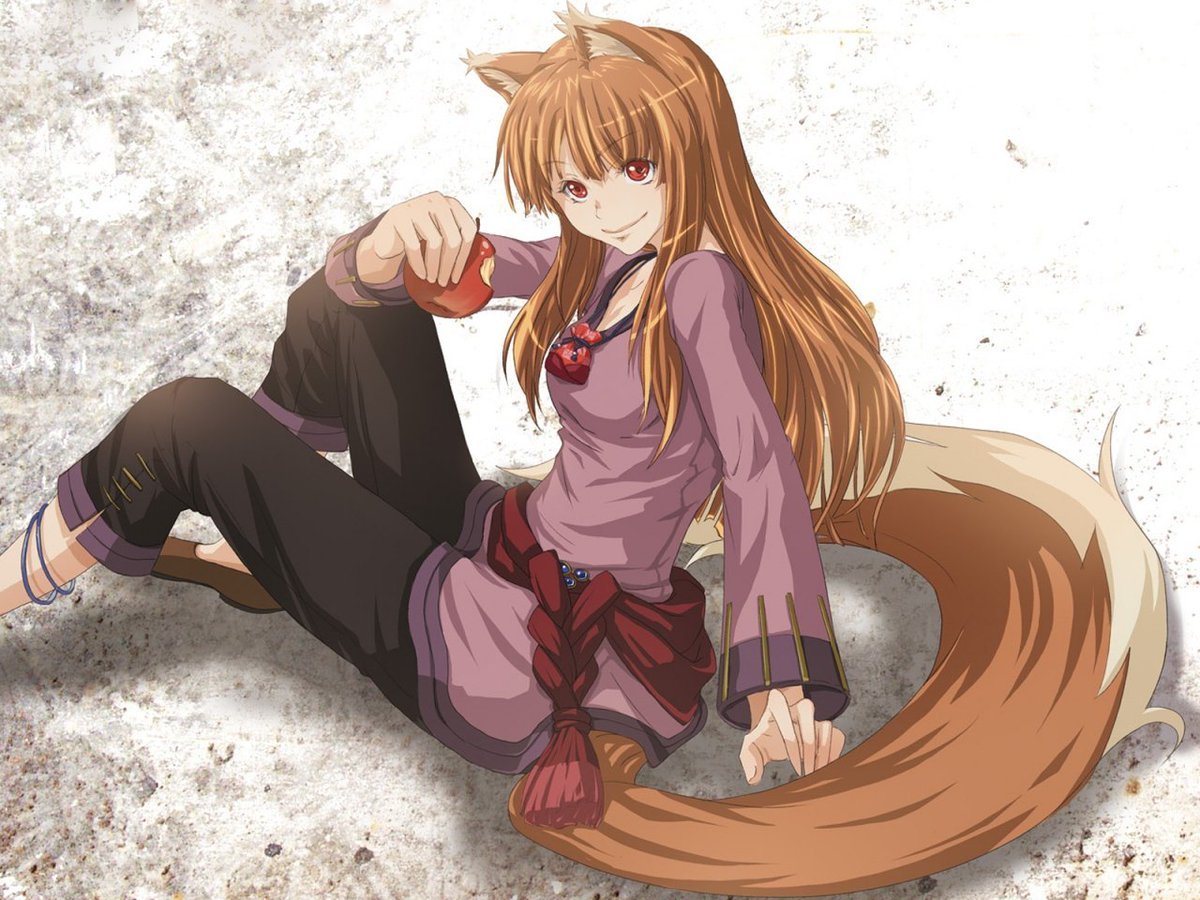 Misa: Searching anime fox girl. *flips table* She's a Wolf GDI!!! Spice and WOLF! #Fanservice