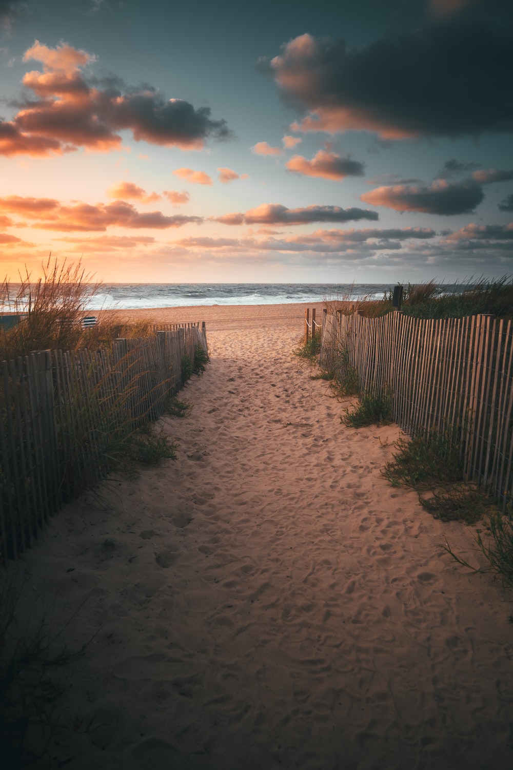 Ocean City Picture. Download Free Image