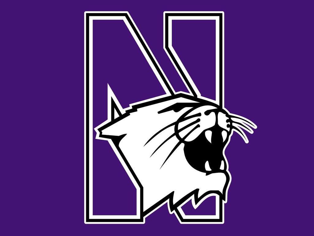 Northwestern Wildcats Wallpapers - Wallpaper Cave