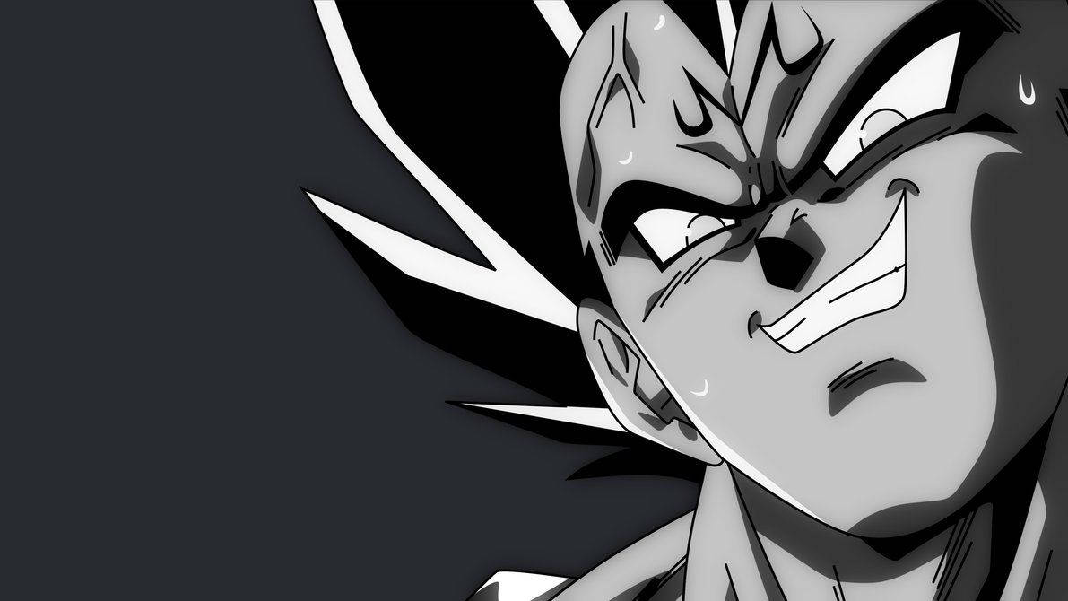 Download Vegeta Wallpaper