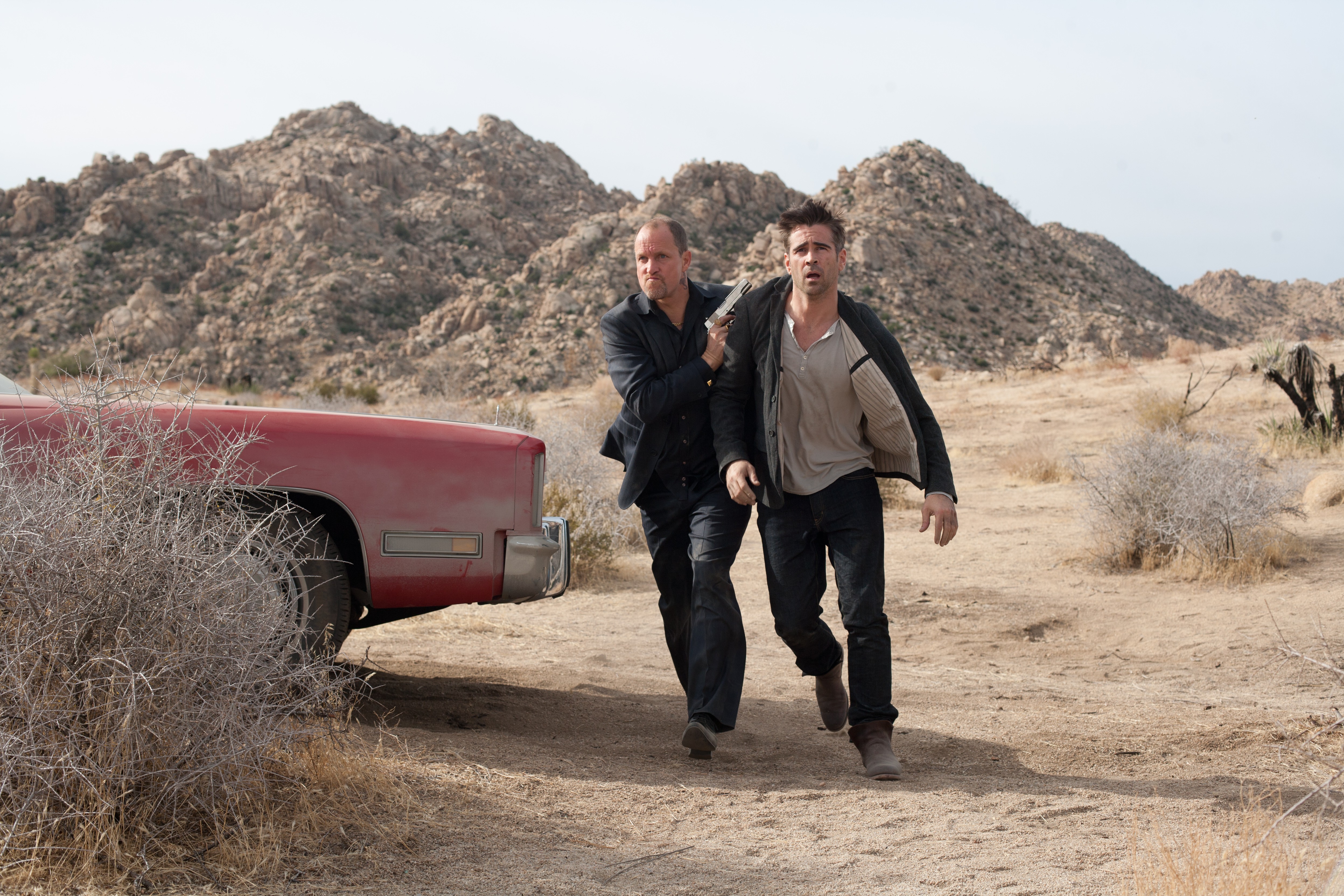 4992x3328 Marty (Seven Psychopaths) Gallery HD Wallpaper