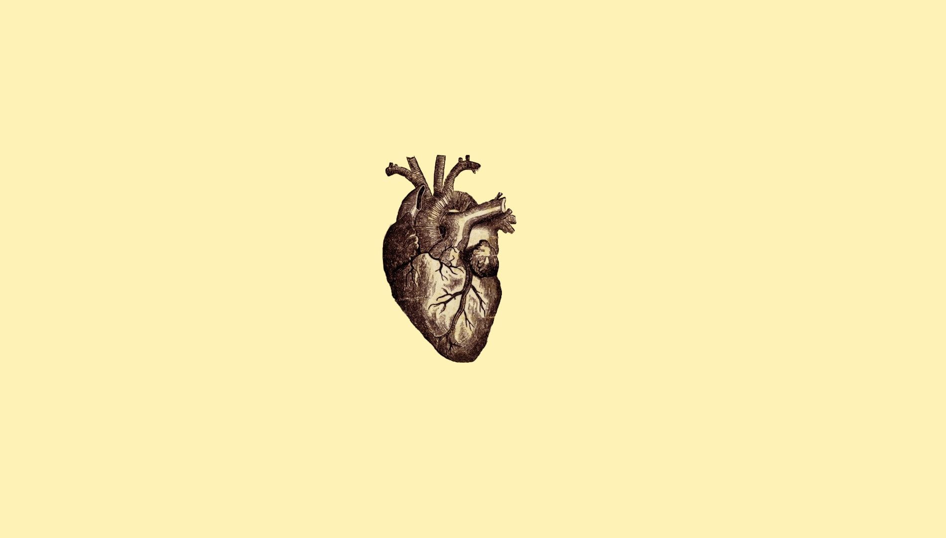 simple background #simple #minimalism #drawing #heart #veins #anatomy #medicine digital art P #wallp. Wallpaper notebook, Macbook wallpaper, Desktop wallpaper