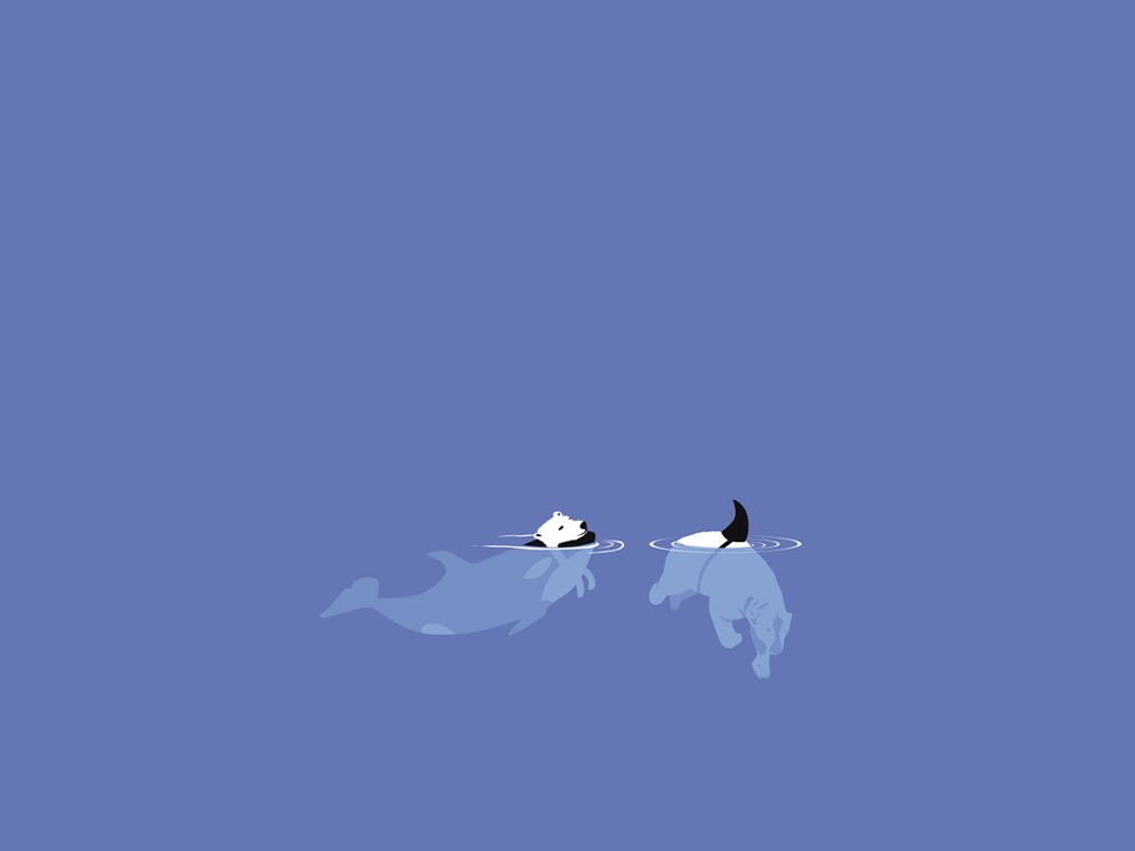 minimalism humor HD wallpaper, background