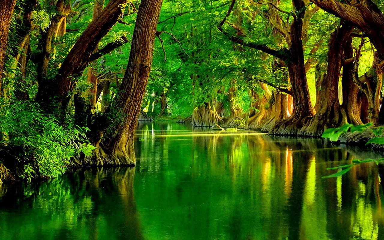 Green river. Nature desktop wallpaper, Nature desktop, Nature