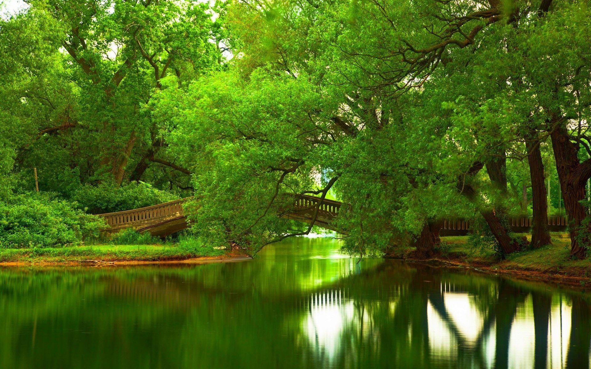 Green River Wallpaper Free Green River Background