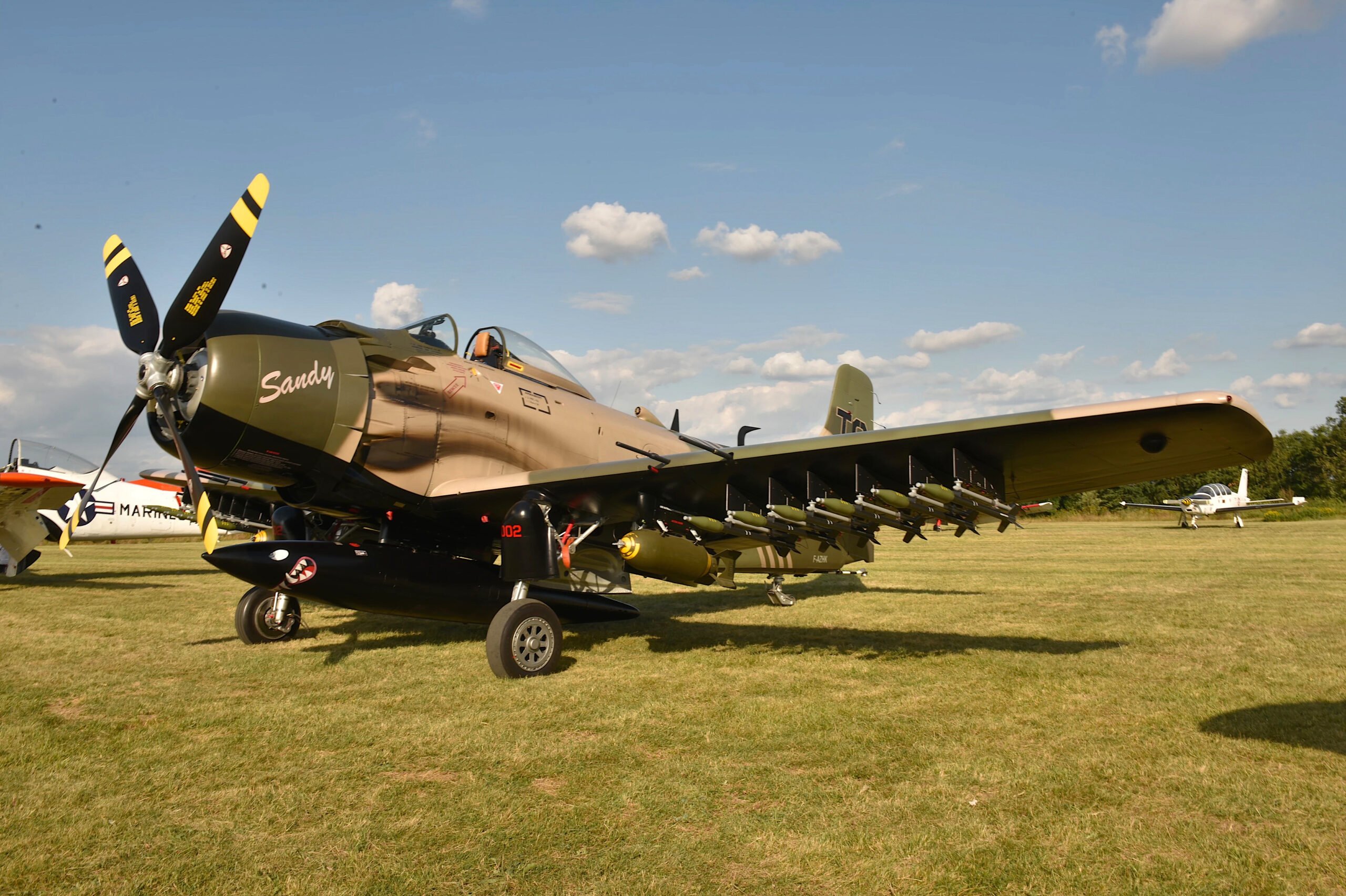 For Sale: A Douglas AD Skyraider Attack Aircraft