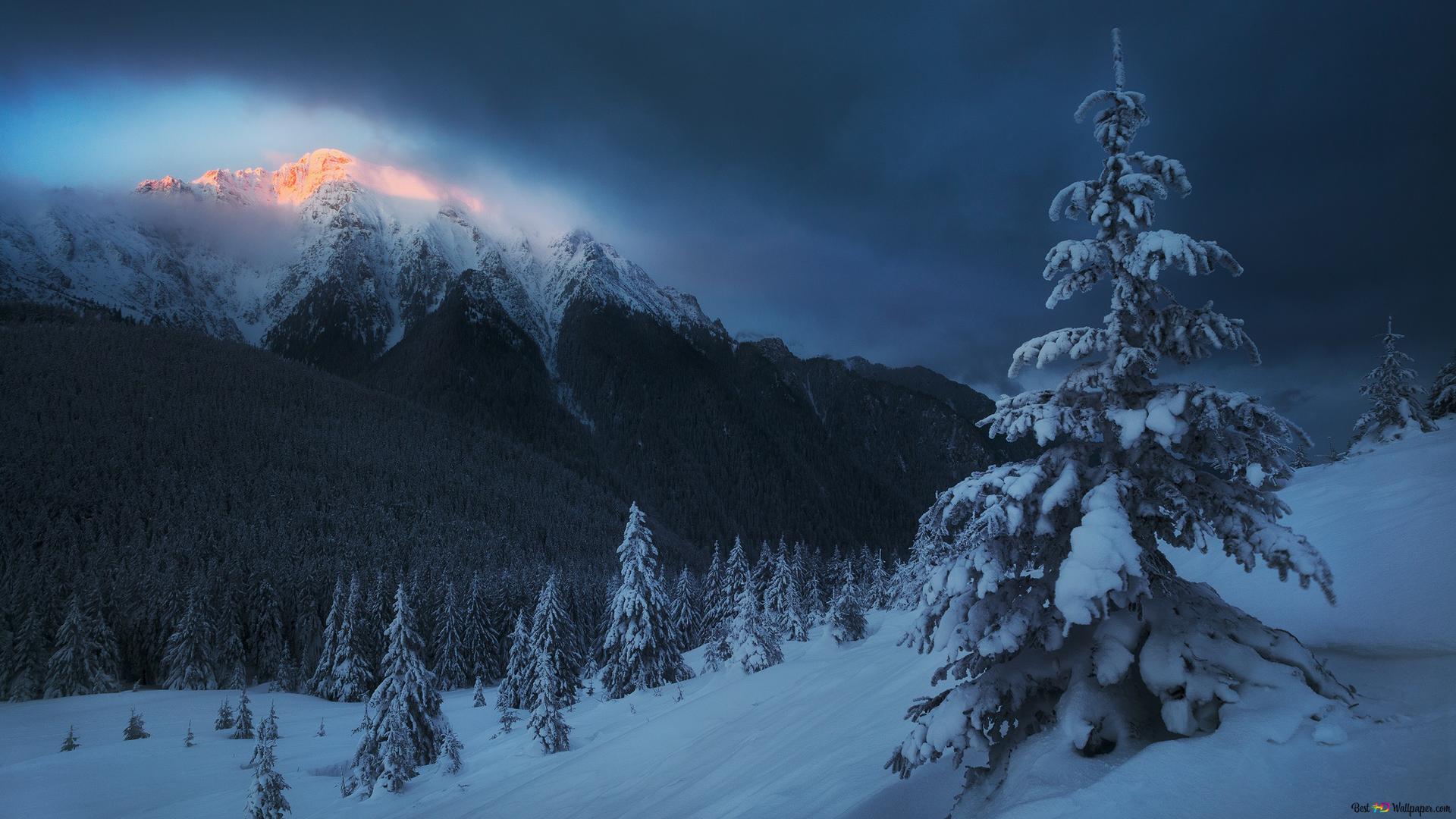 Winter in mountain 2K wallpaper download