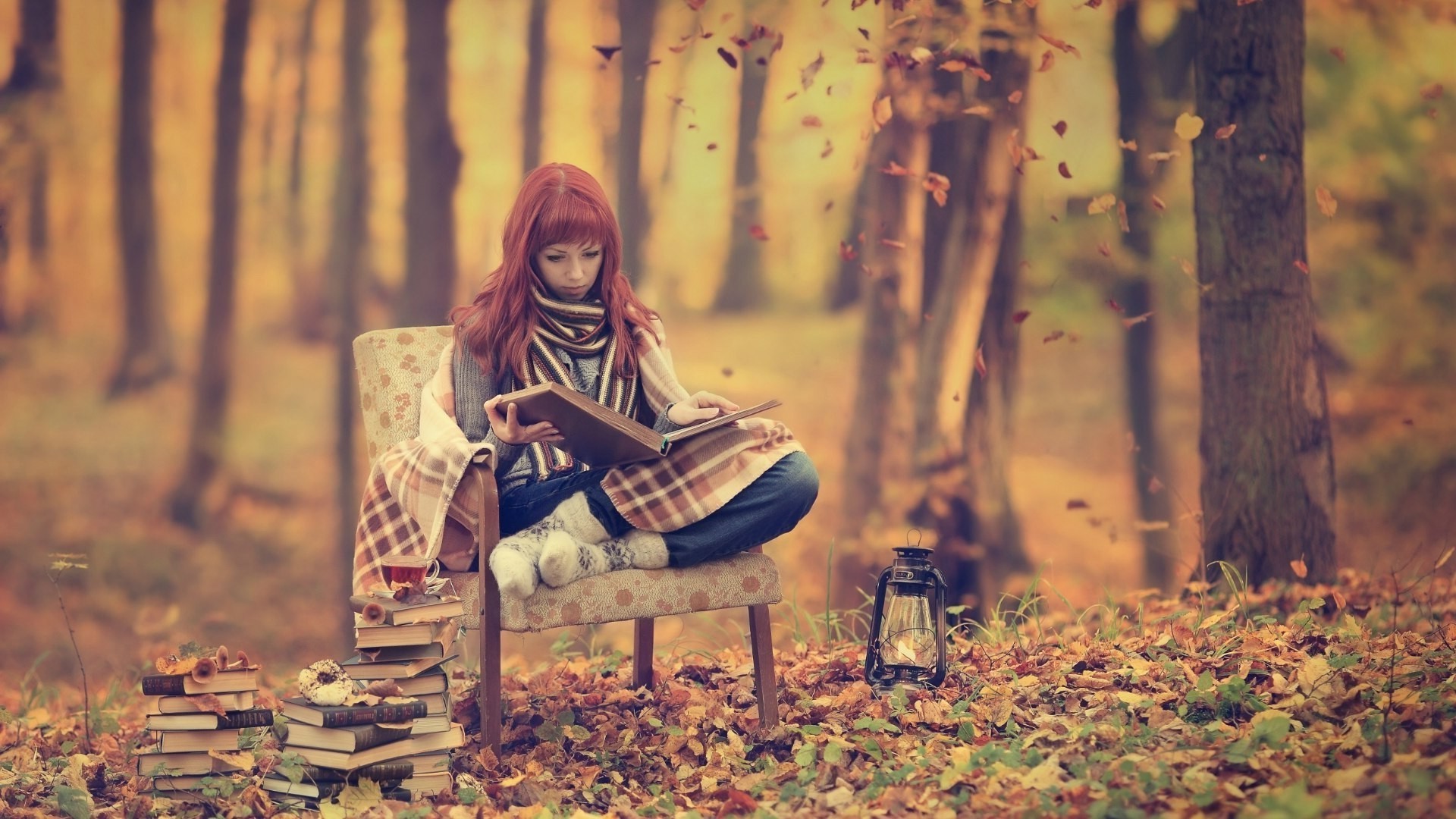 Wallpaper, sunlight, forest, redhead, books, reading, morning, spring, tree, autumn, leaf, flower, season, 1920x1080 px, woodland, habitat 1920x1080