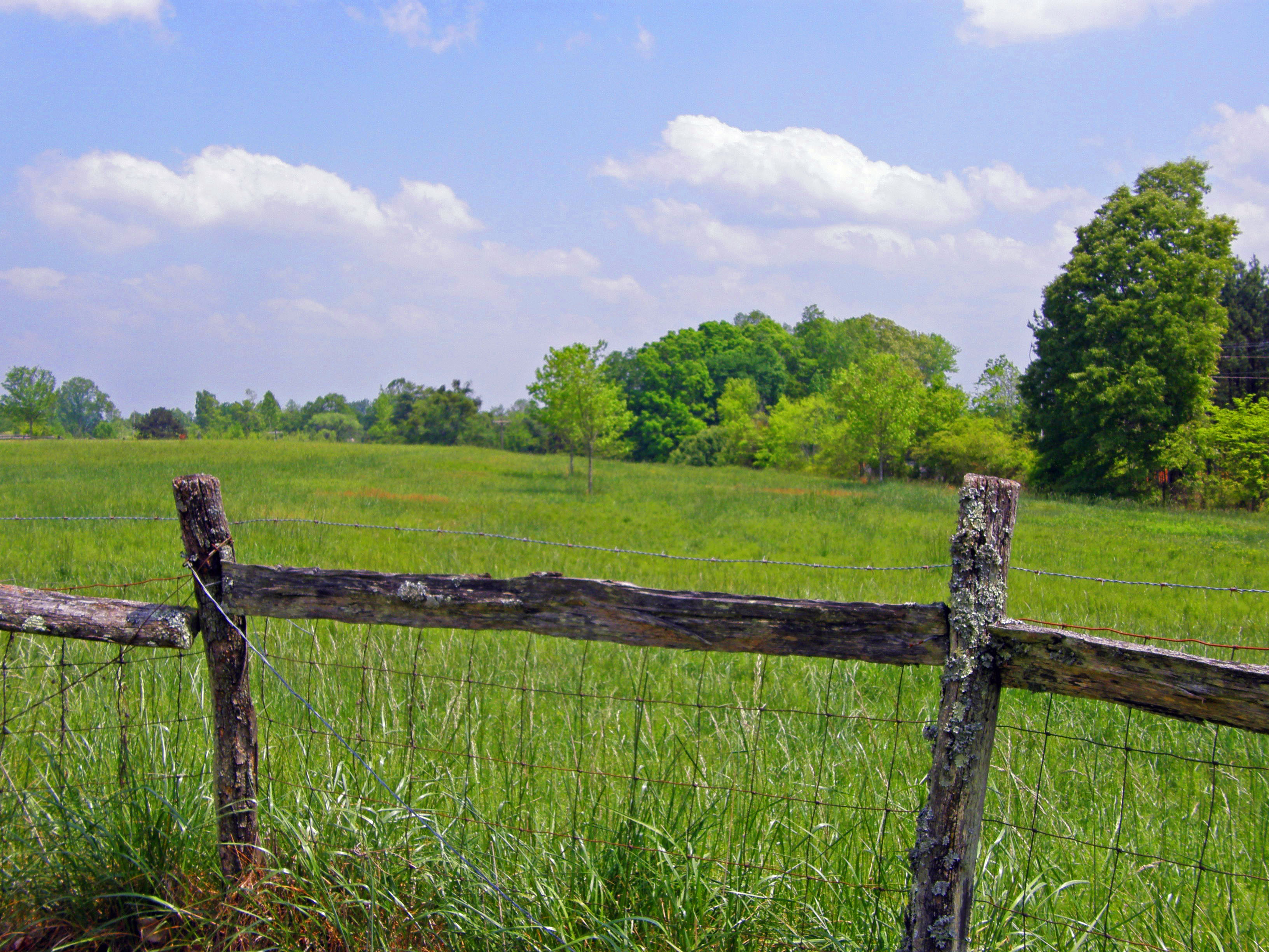 Wallpaper, sky, field, clouds, fence, spring, southcarolina, fences, fields, springtime 3264x2448
