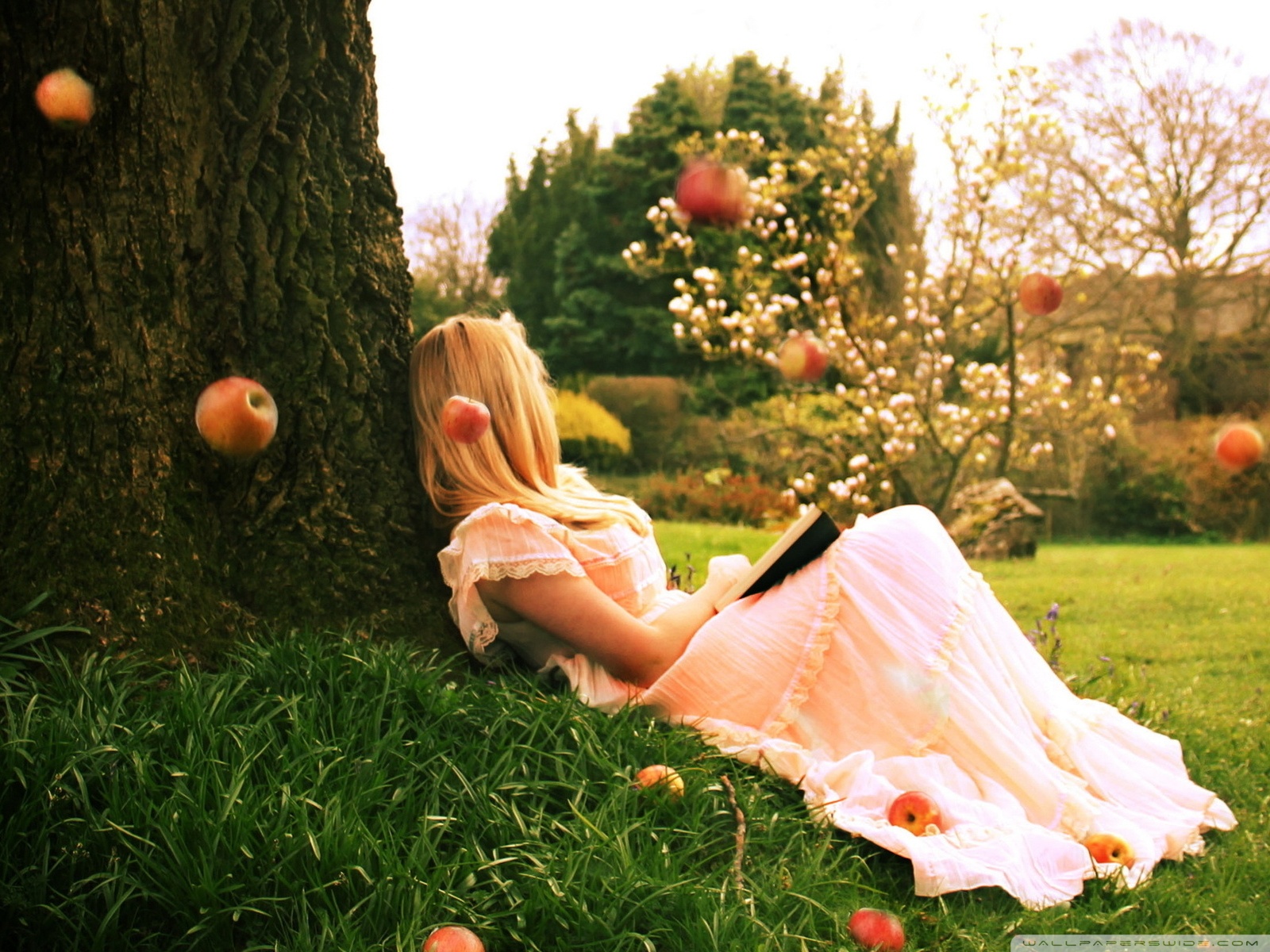 Reading A Book Under A Tree Ultra HD Desktop Background Wallpaper for 4K UHD TV, Tablet